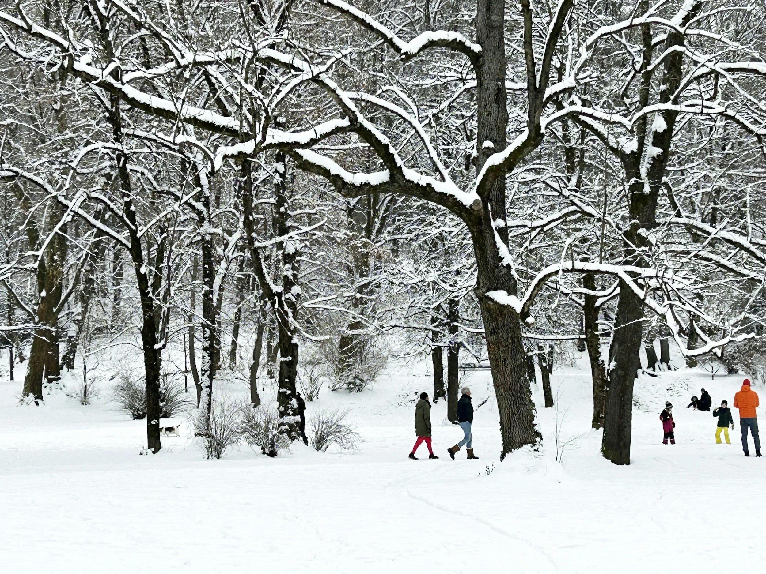 People walking in the snow