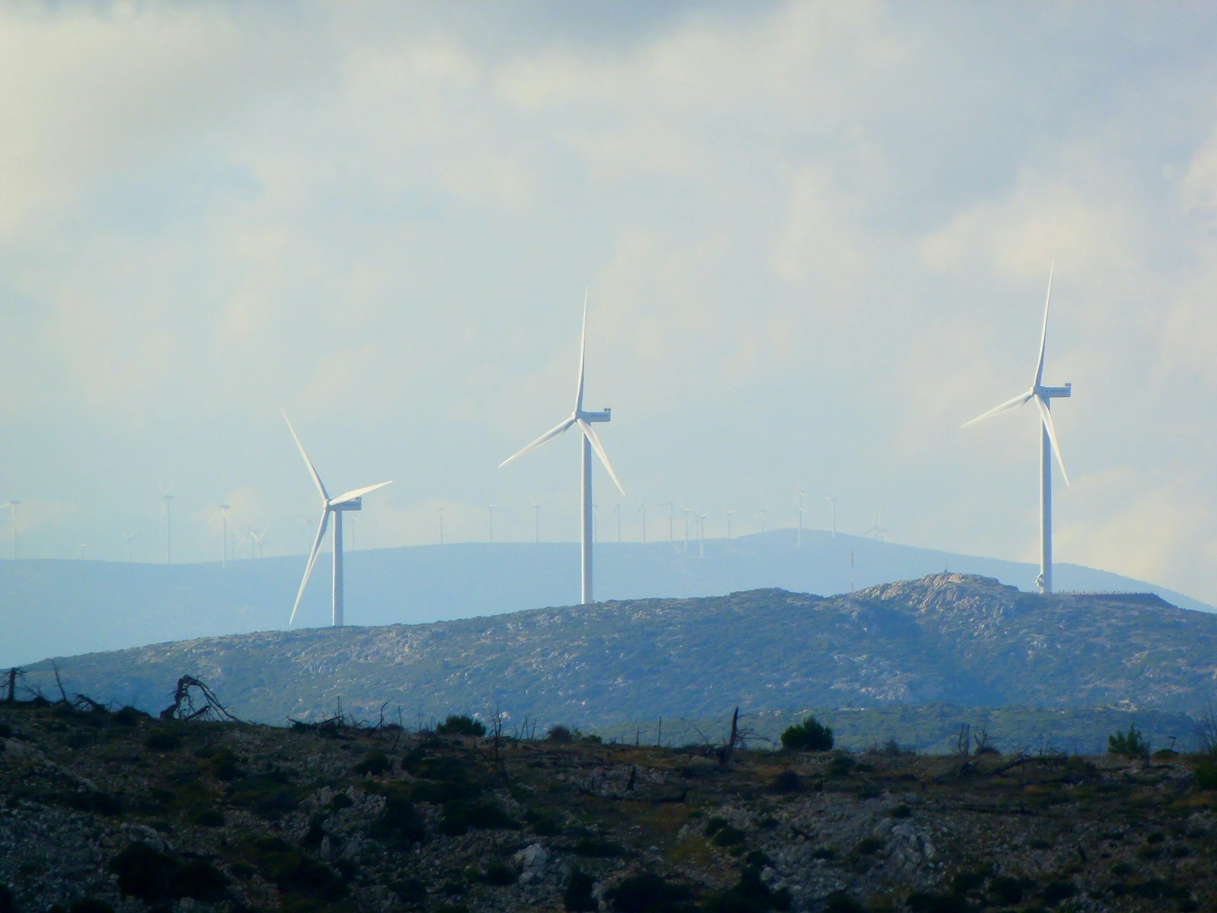 Photo of wind farm