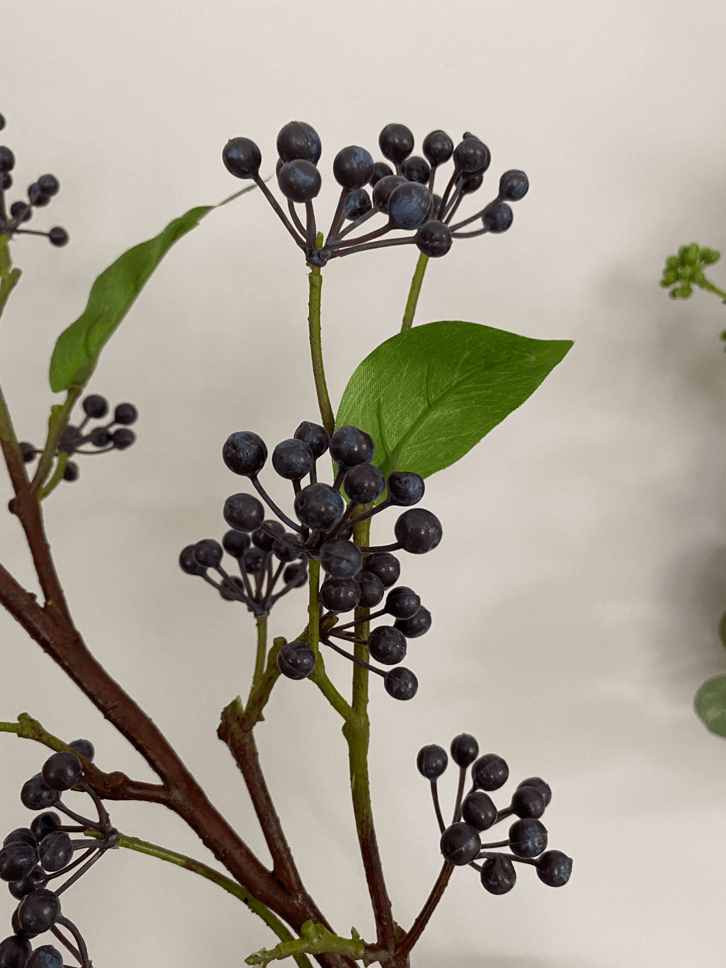 tempImageijcYg4.gif
