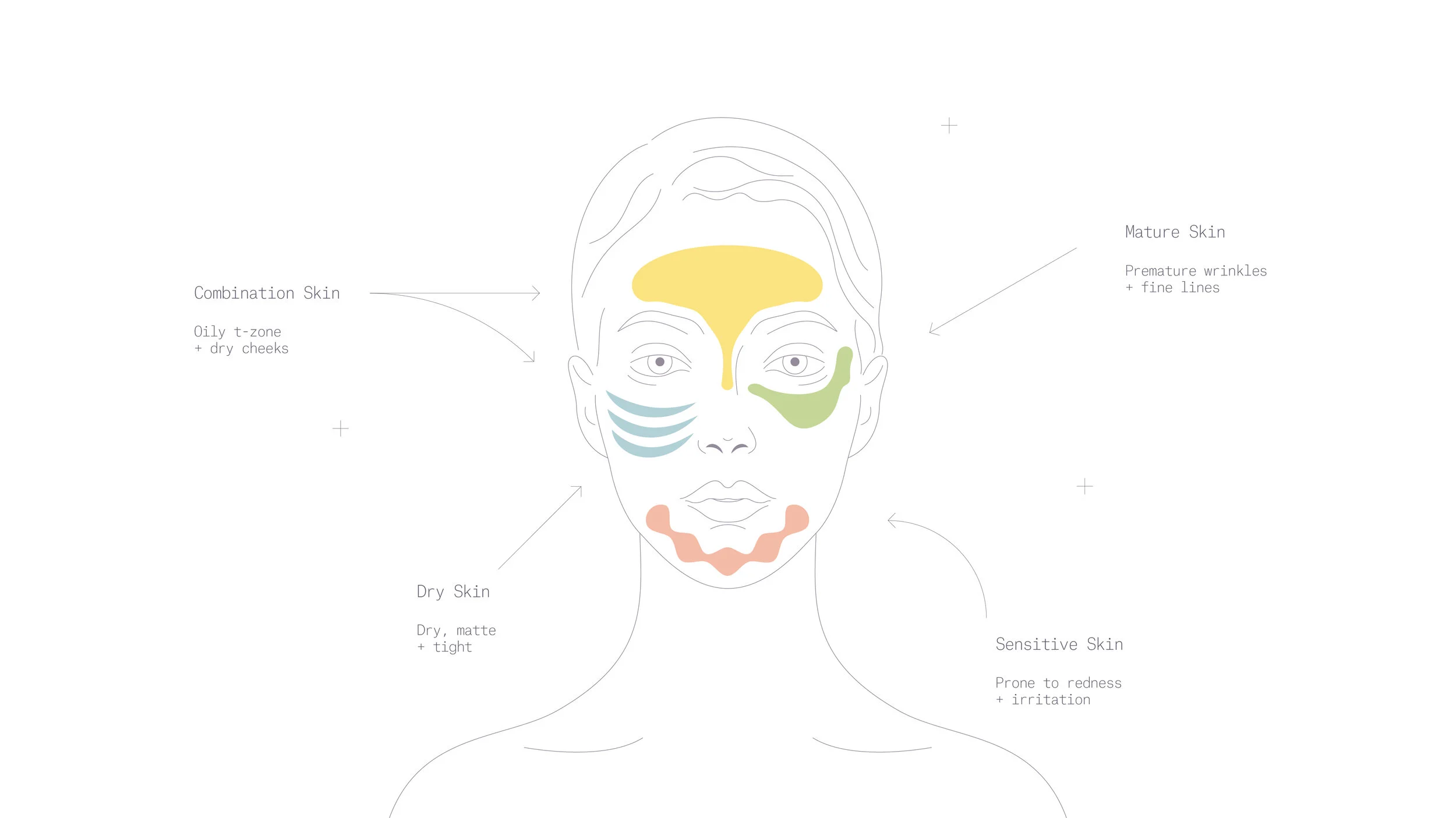 combination skin oily t zone