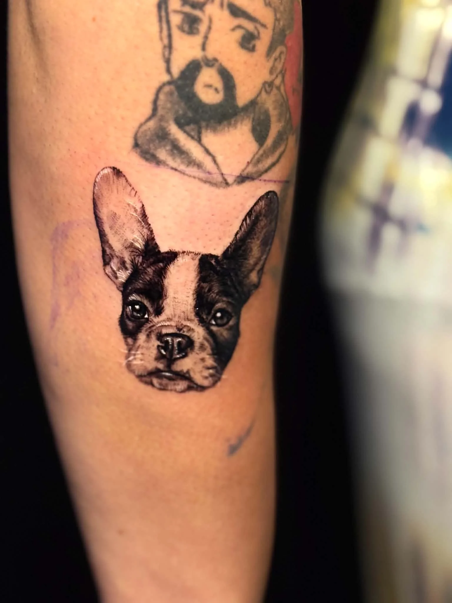 Black-and-grey dog portrait tattoo by Hailee Rivera