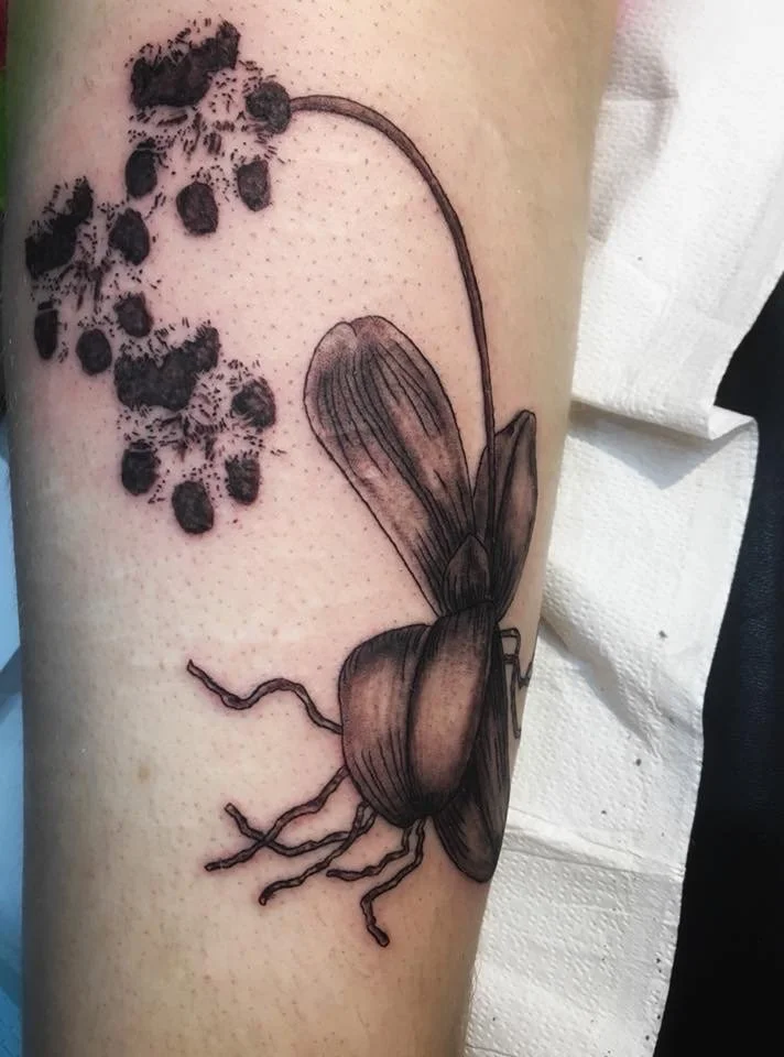 Black-and-grey firefly tattoo with a stippled trail by Anna Small