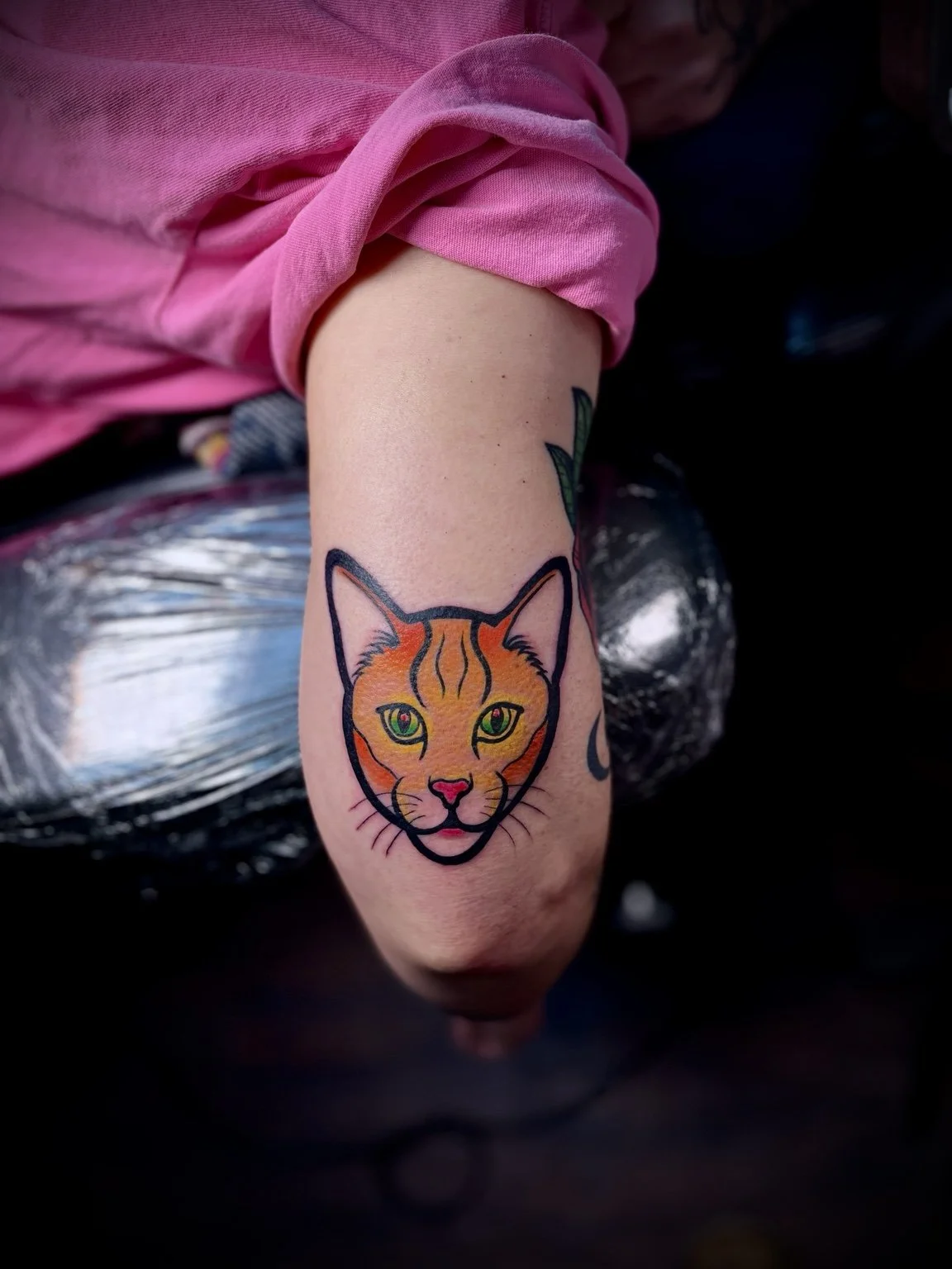 Color orange cat tattoo by Andrew Tanner