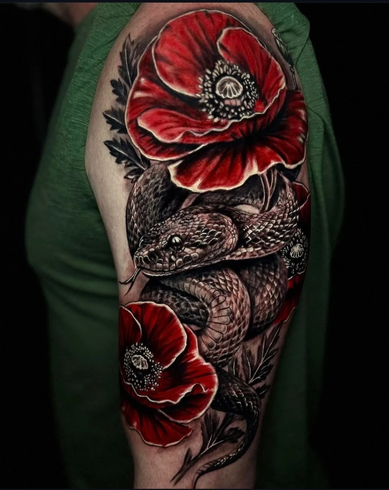 Realistic snake and red poppies tattoo by Ren Giang