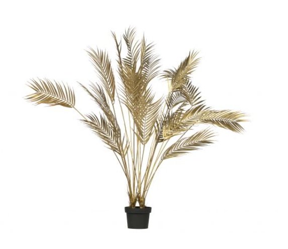 Gold Palm.jpg