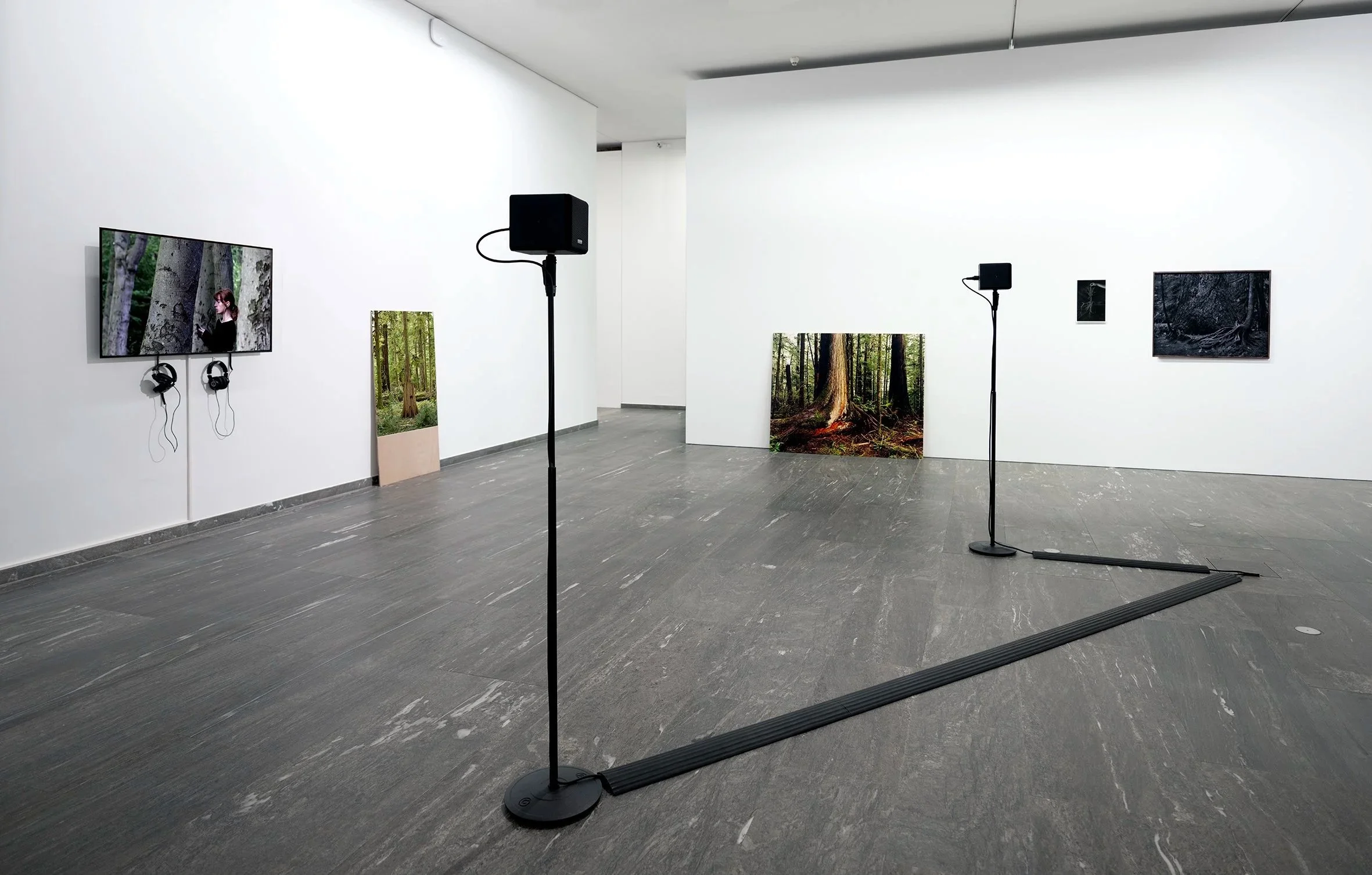 FOREST COMPLEX/TREEWORKS ('23-'24)