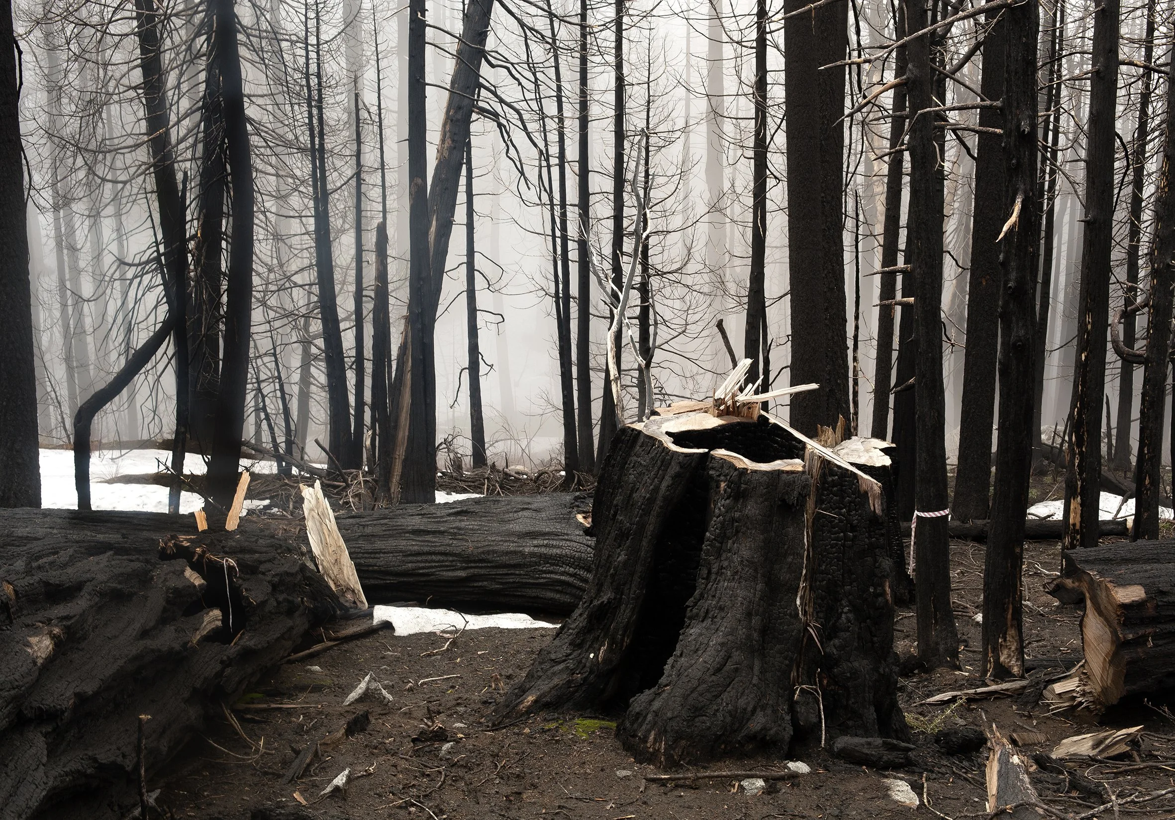 FIRE COMPLEX/PHOTOGRAPHS (2020)