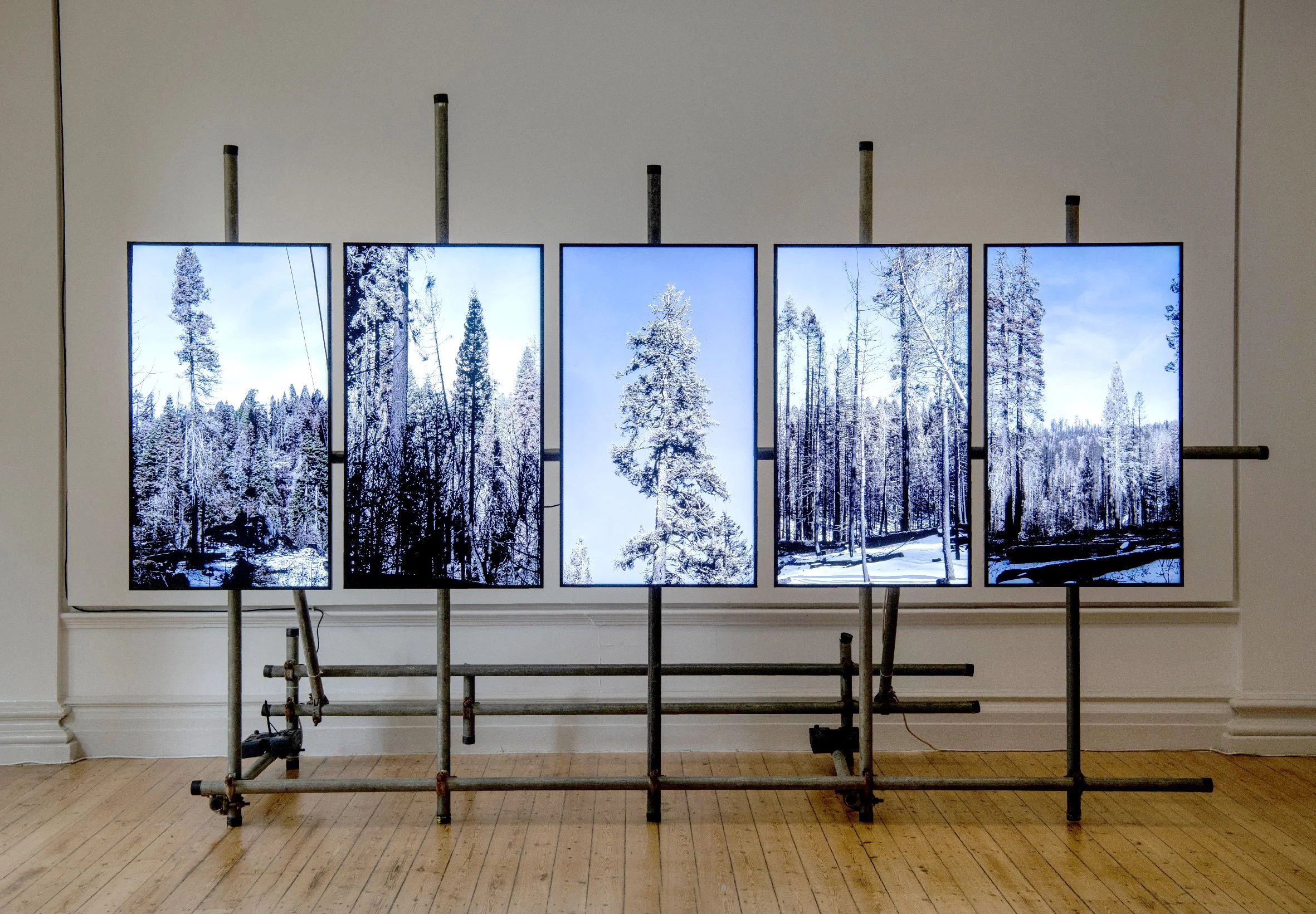 FIRE COMPLEX/CULL (2020-22)