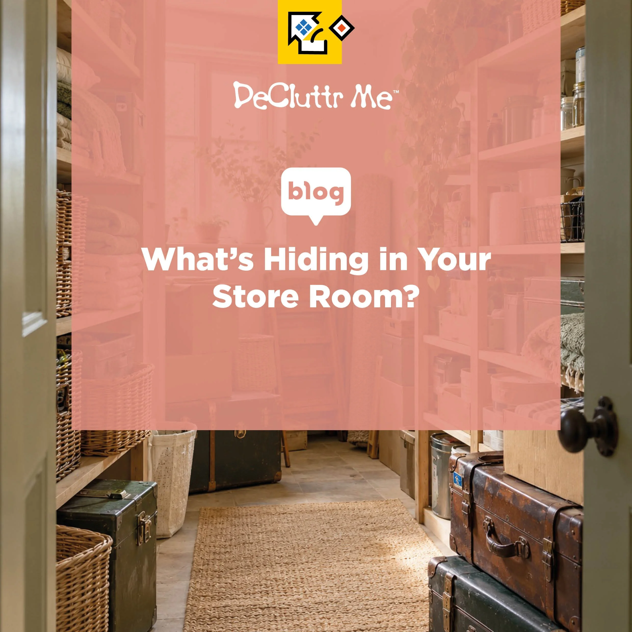 What’s Hiding in Your Store Room?