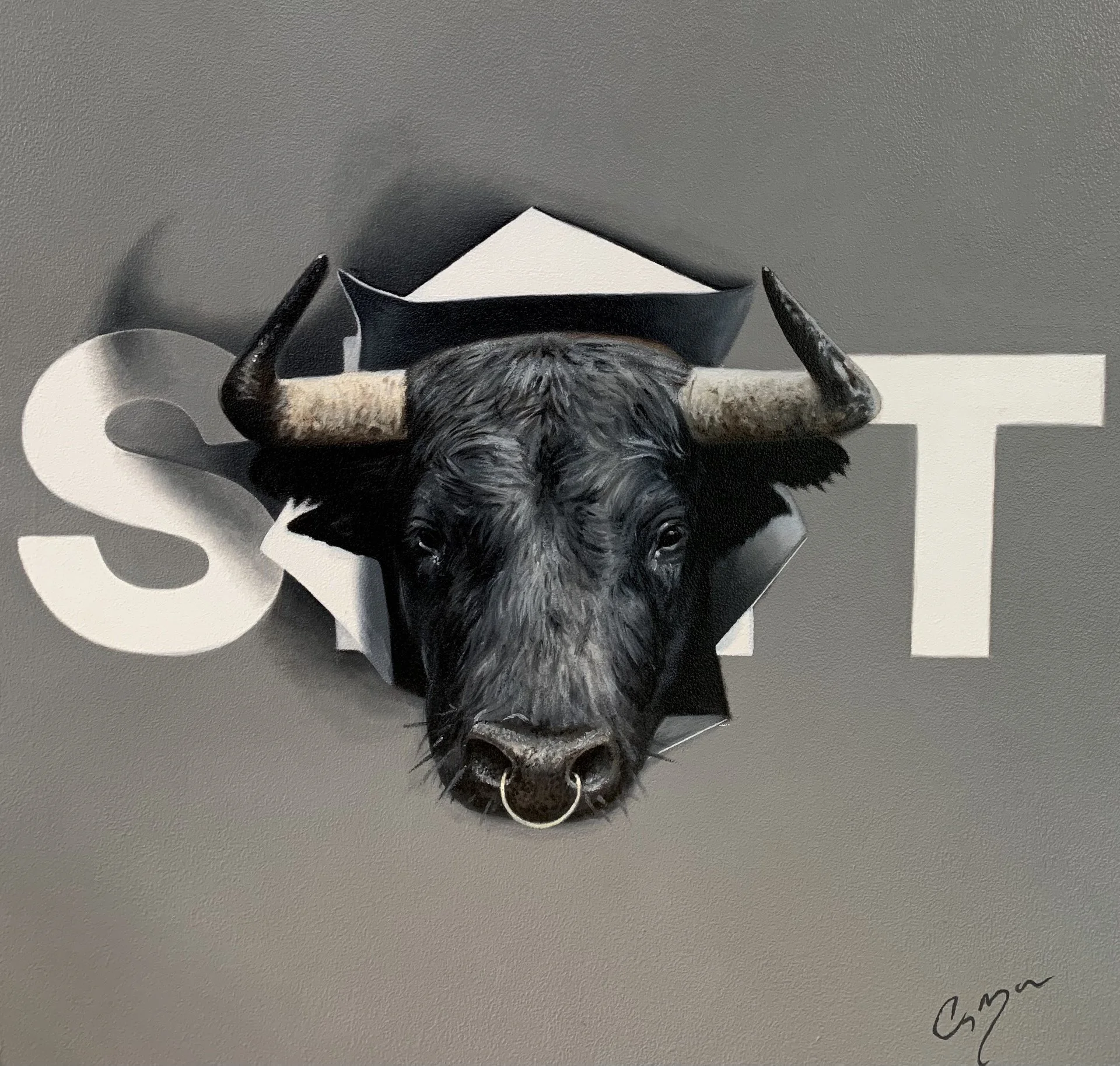 Bull ST.jpg
