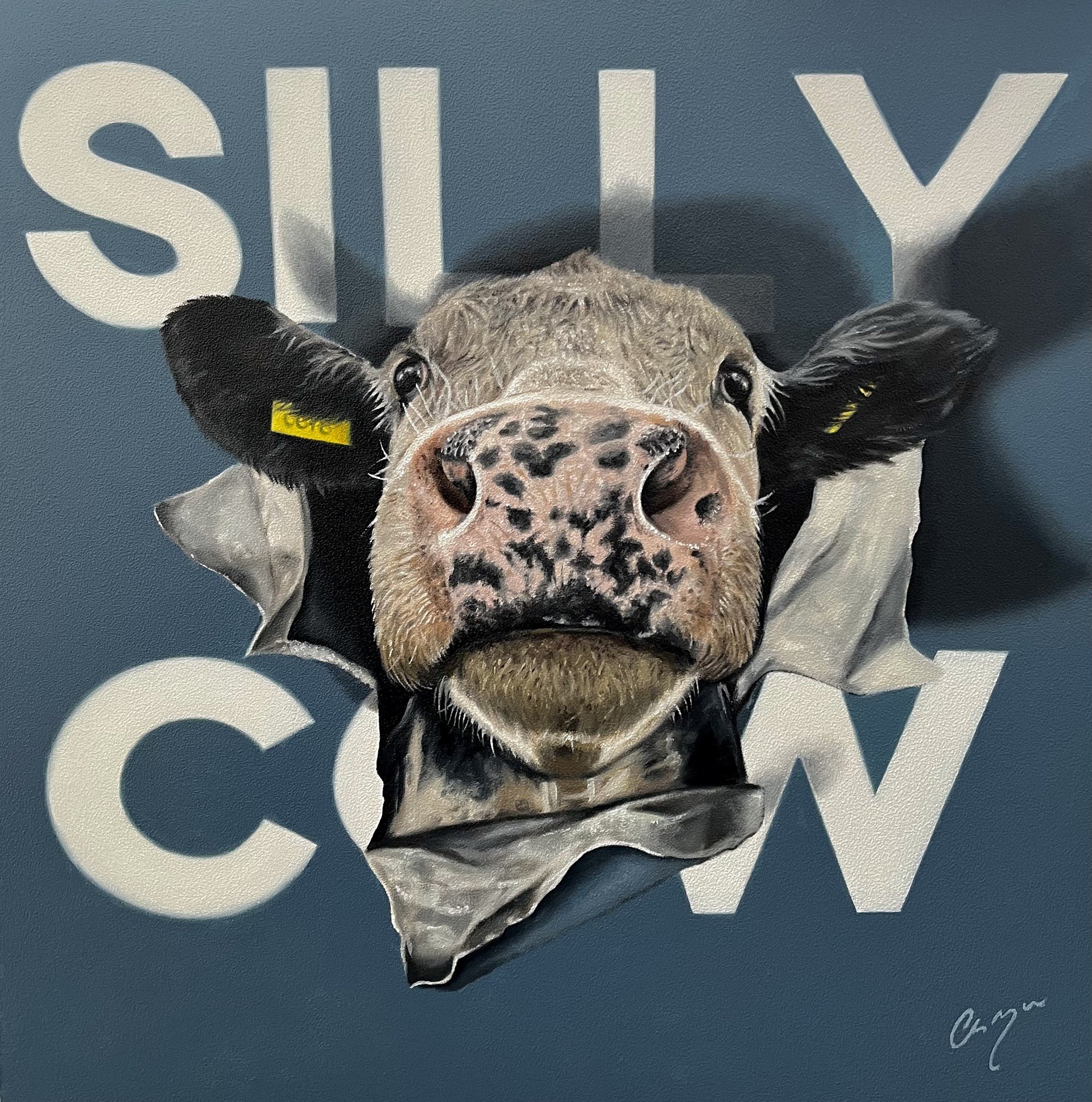 Silly Cow 2.jpg