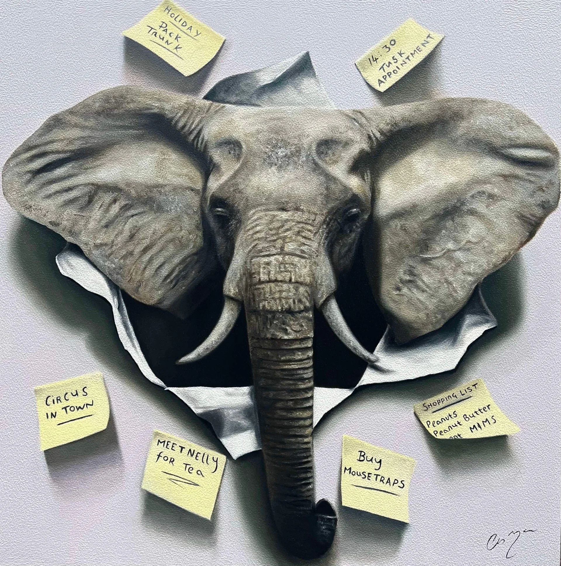 An Elephant never forgets Webiste 2.jpg