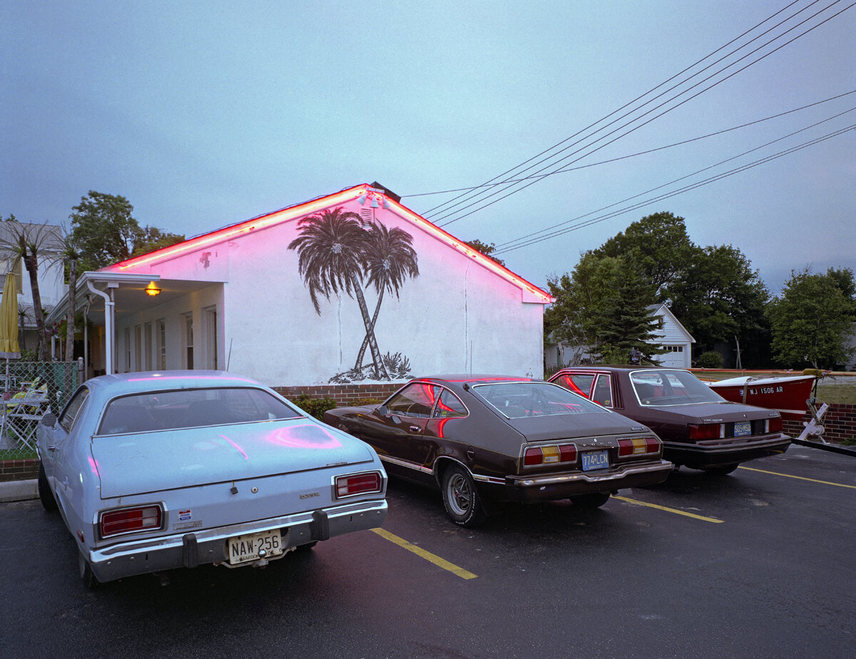 pink neon and palm trees 1980009 copy.jpg