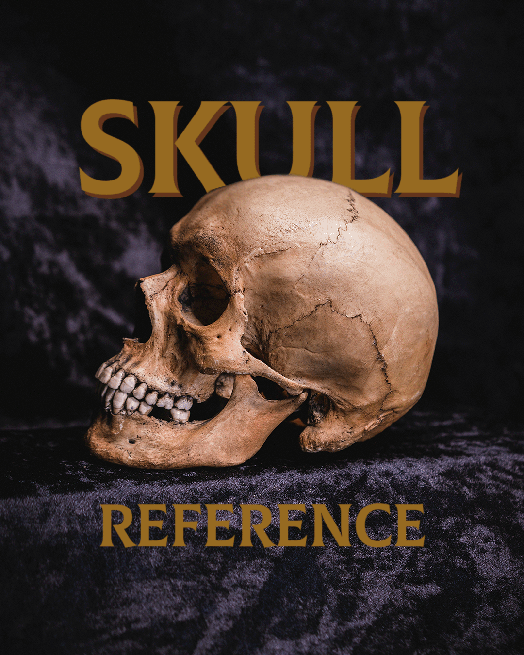 THE SKULL REFERENCE PACK