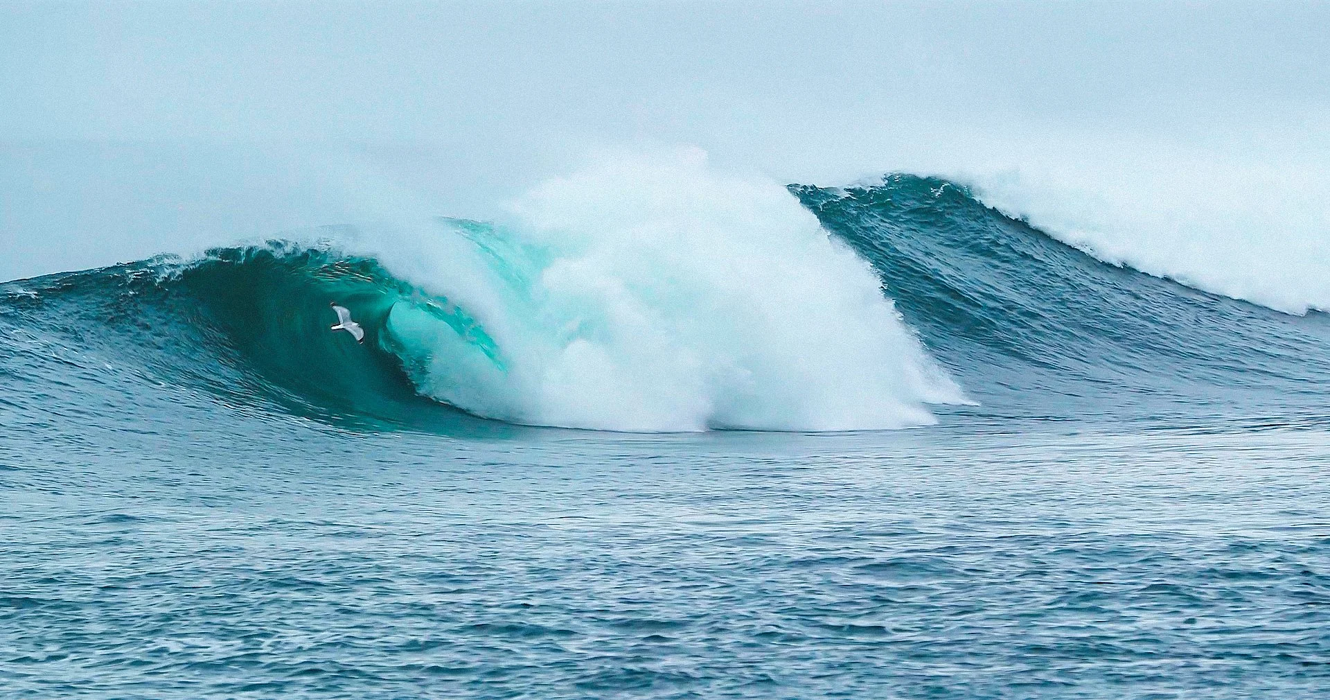 08_Waves_Sample.00_00_06_48.Still001.jpg