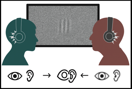 Two senses are better than one…but only if you’re older?