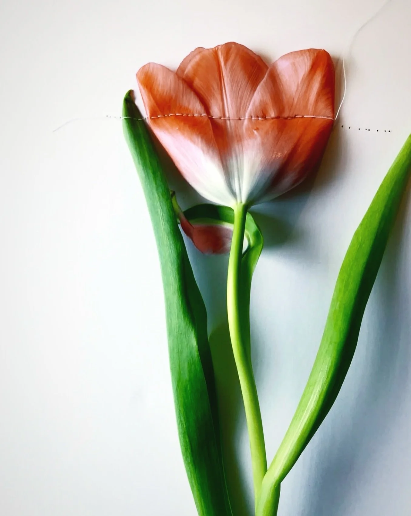 Flowers have a way of pulling you into the present.

I&rsquo;ve always been drawn to the softer moments in sport, the quiet in between. The mental load, the grind, the emotion, the memory.

Lately, I&rsquo;ve been thinking about what we choose to hol