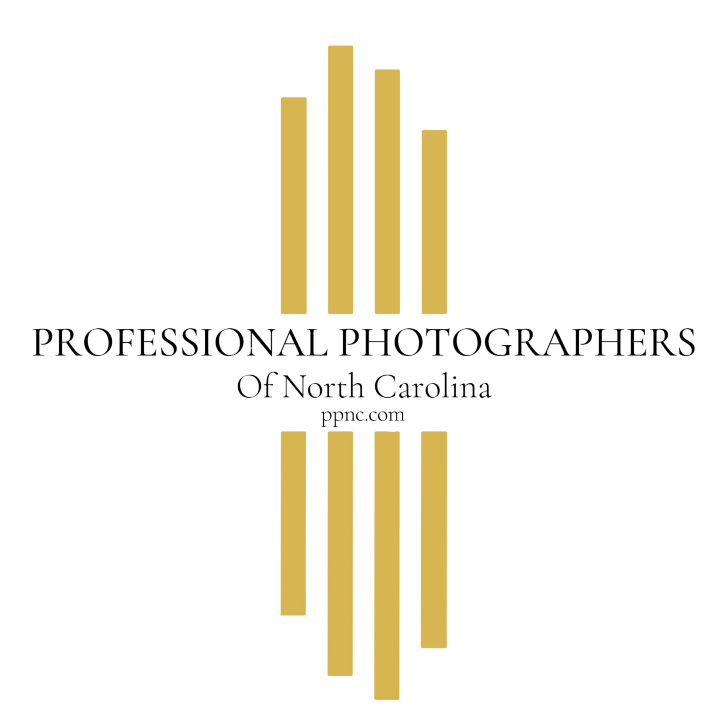 Logo with stacked books in shades of red, orange, and yellow, with the words 'PROFESSIONAL PHOTOGRAPHER' below.