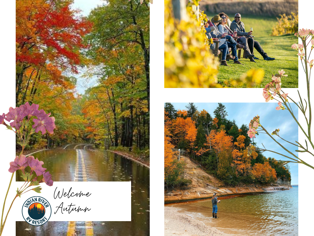 DAY TRIP: Autumn Glow Drive