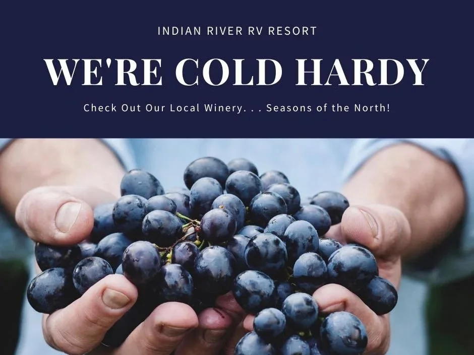 Seasons of the North, our local winery