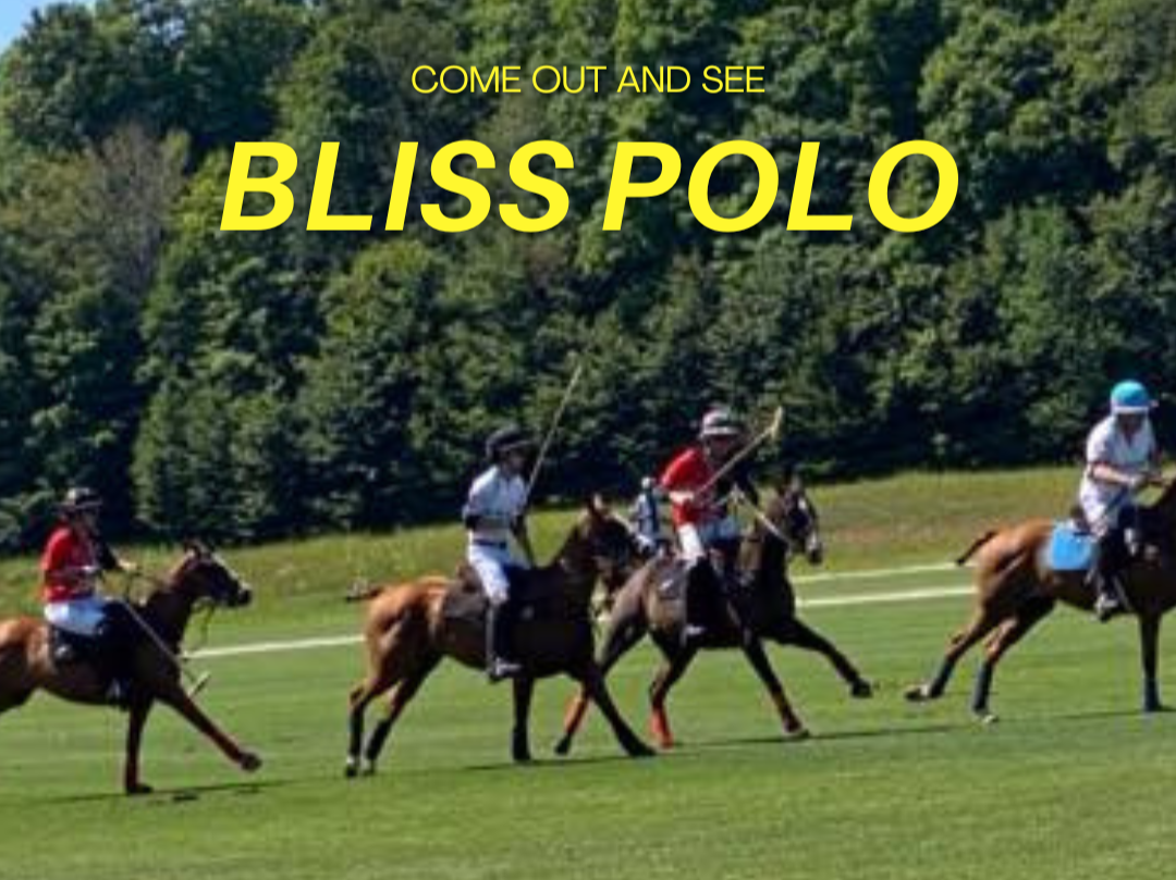 Polo Matches in Bliss, MI (30-min)