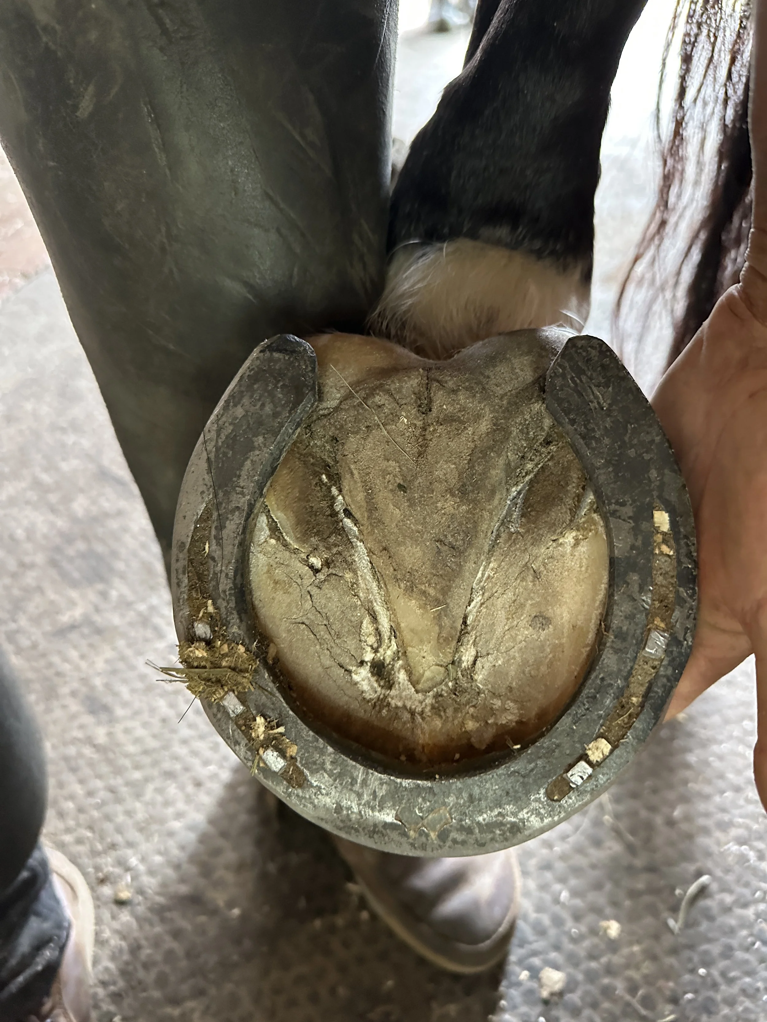 Perimeter fit between where the toe is and where we want it to be