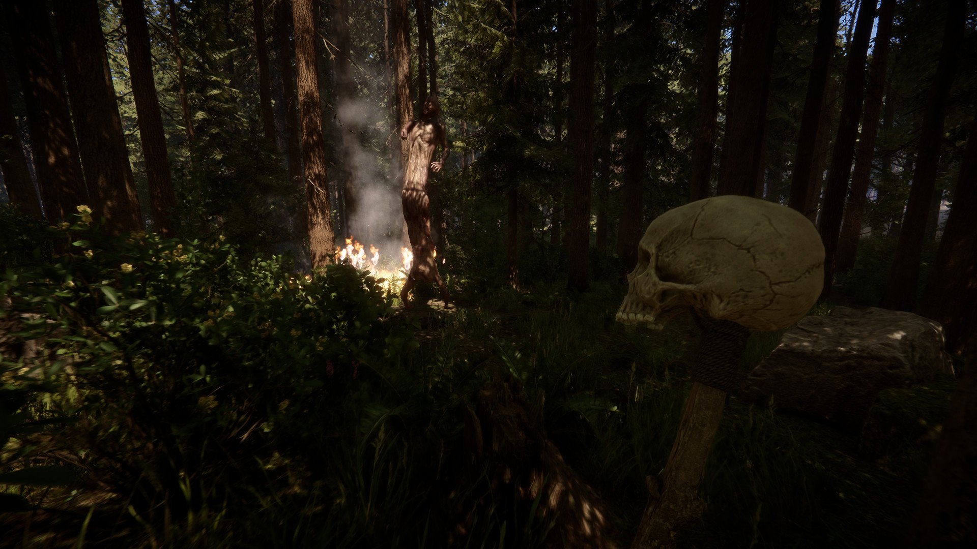 Review: The Forest: Survival, Horror