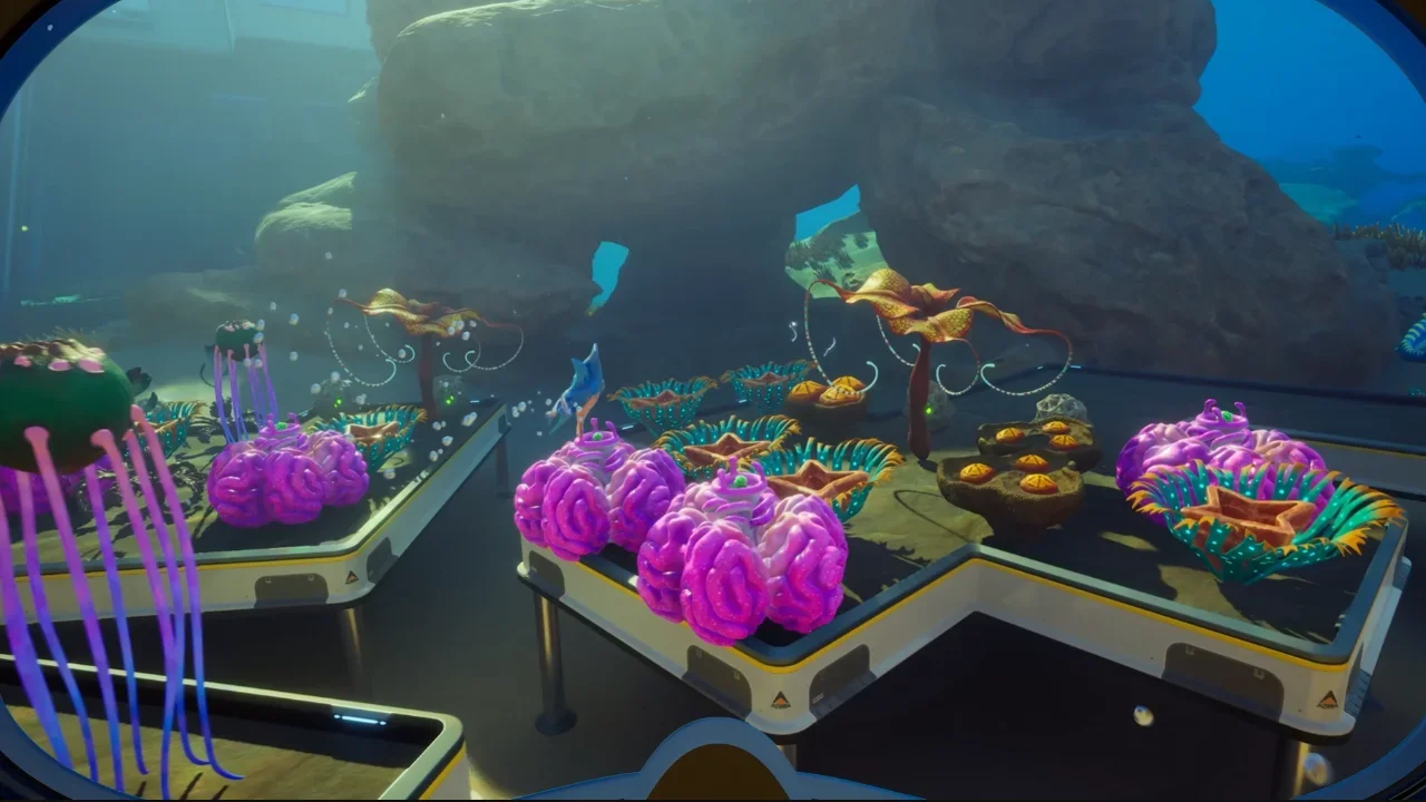 Vibrant alien flora, including pink brain-like corals and purple jellyfish plants, growing on research platforms in an underwater environment in Subnautica 2.