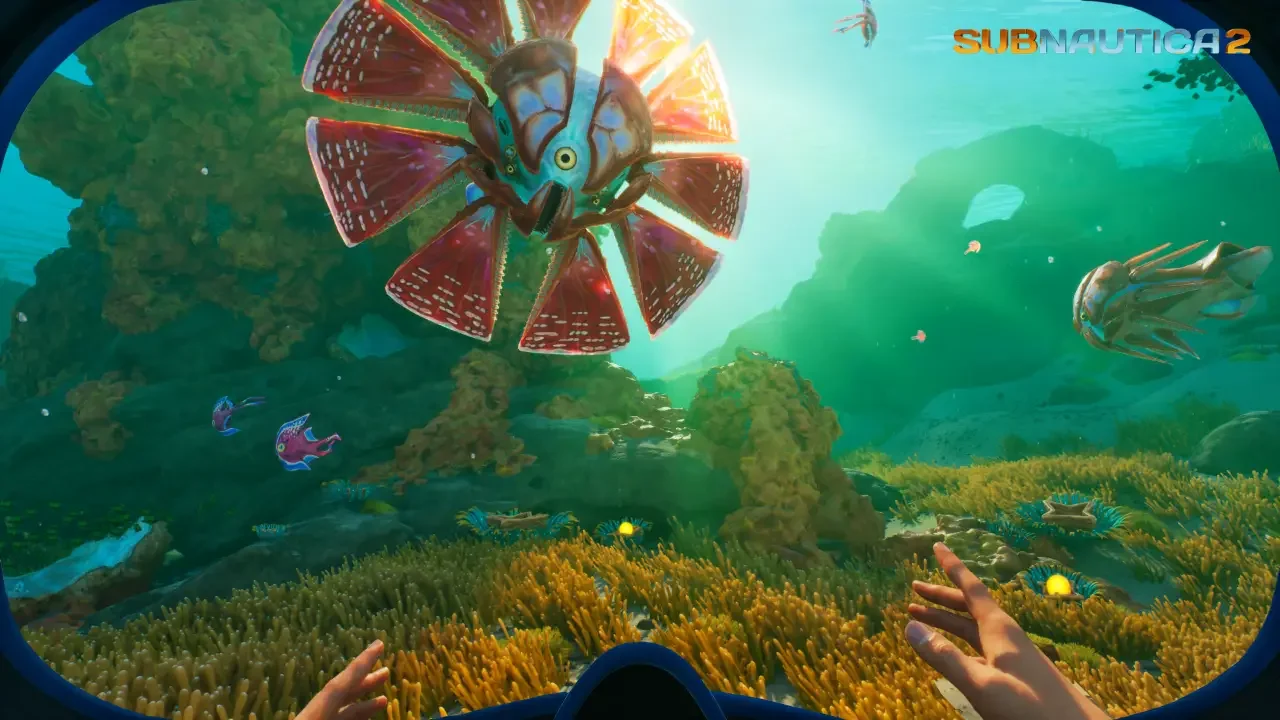 A first-person gameplay screenshot from Subnautica 2 showing a large, circular alien creature with red fins in a vibrant underwater coral reef.