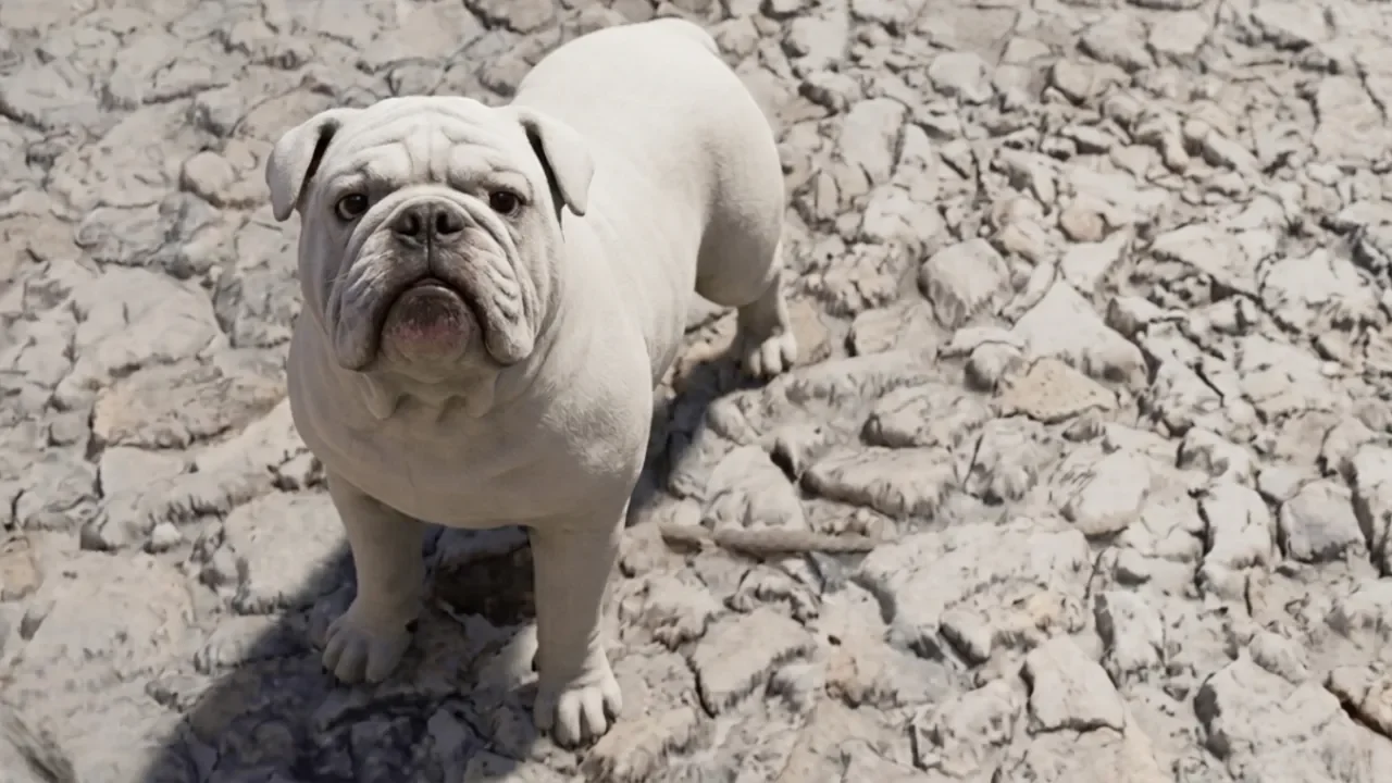 Crimson Desert: How To Find And Adopt Every Dog In Pywel