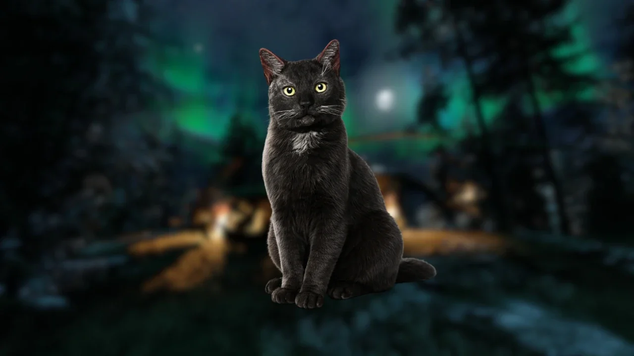 Road To Vostok Guide: Finding The Missing Cat And Surviving The Aftermath