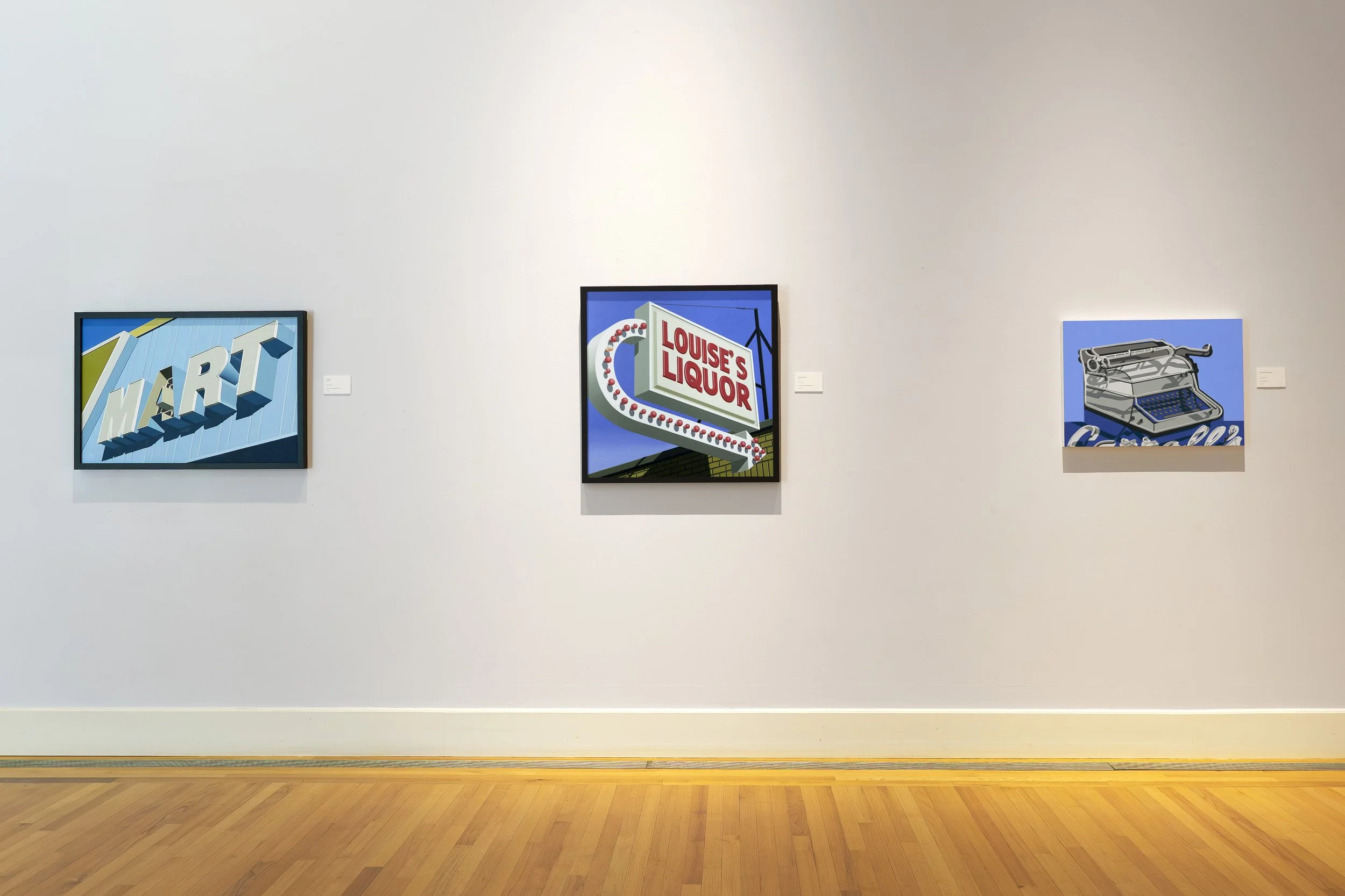 Stephanie Schechter Arnot Art Museum 3 Americans Exhibition Back Wall.jpg