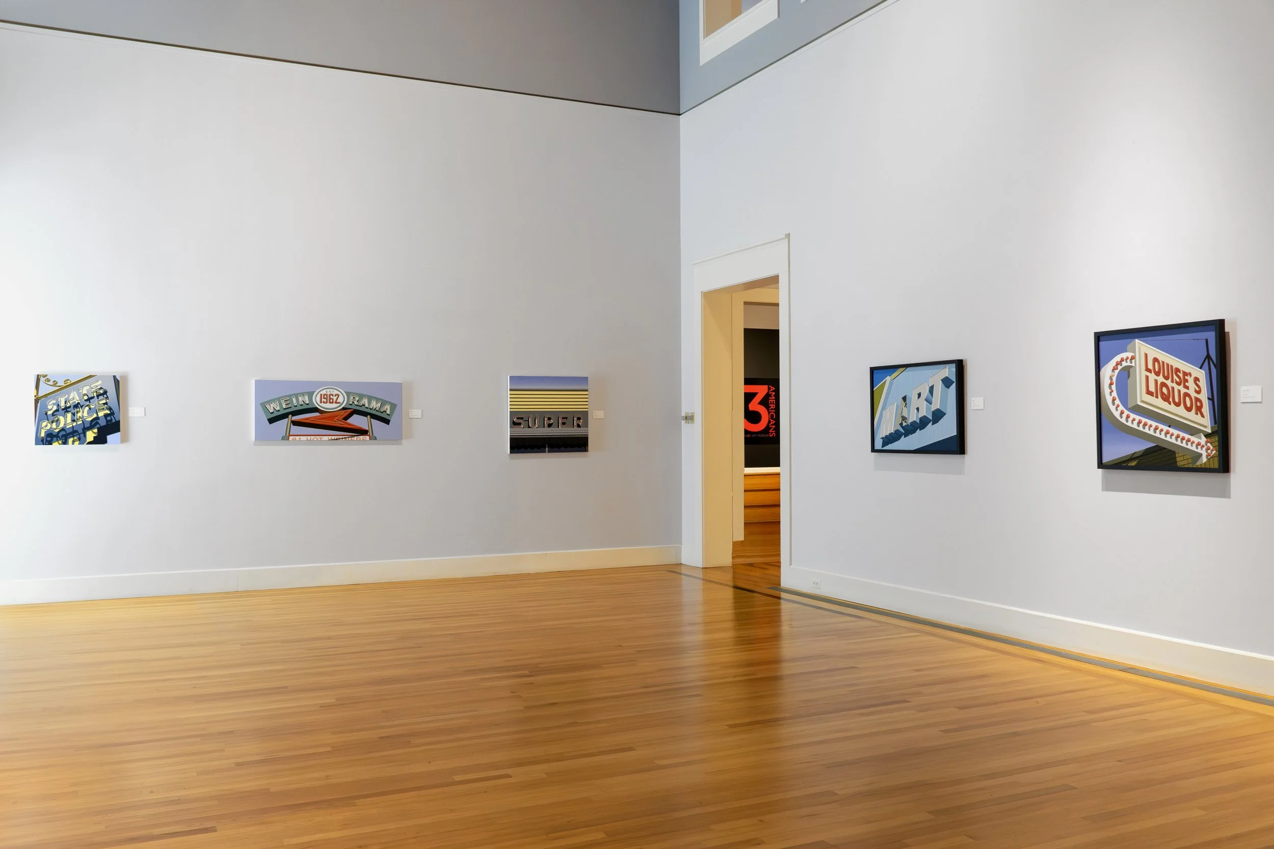 Stephanie Schechter Arnot Art Museum 3 Americans Exhibition 6.jpg