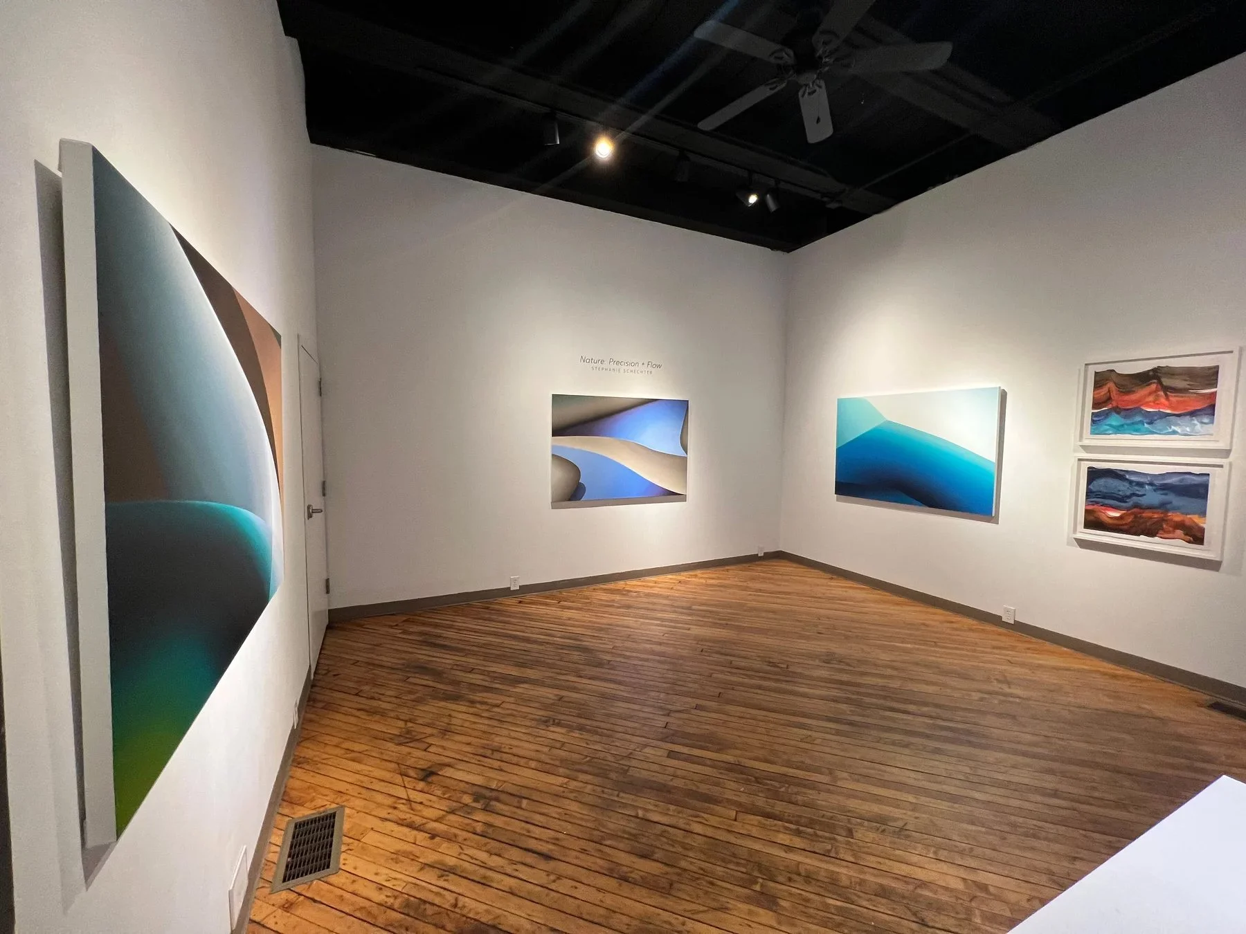 Schechter Nature Precision Flow Install 4.jpg