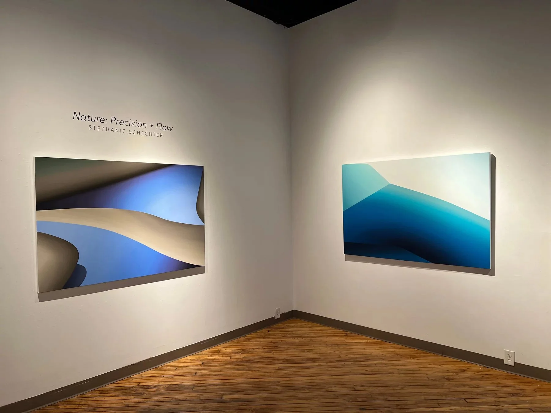 Schechter Nature Precision Flow Install 1.jpg