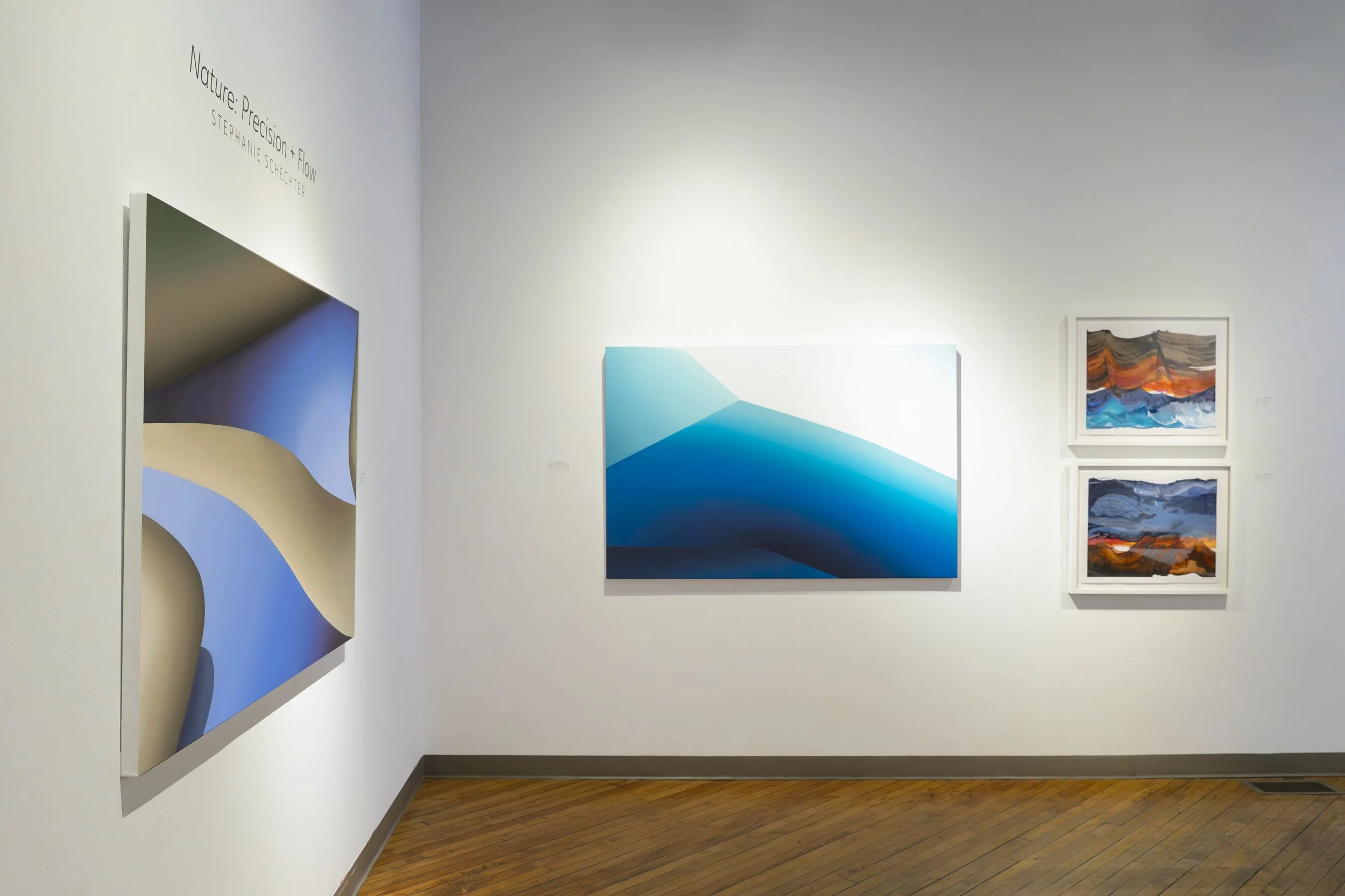 Schechter Nature Precision Flow Install 2.jpg