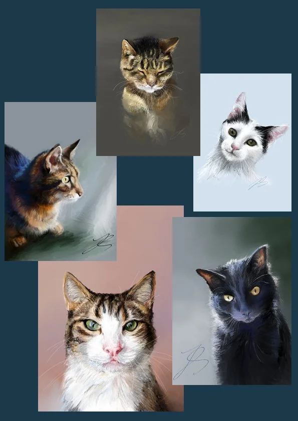 'Cats'