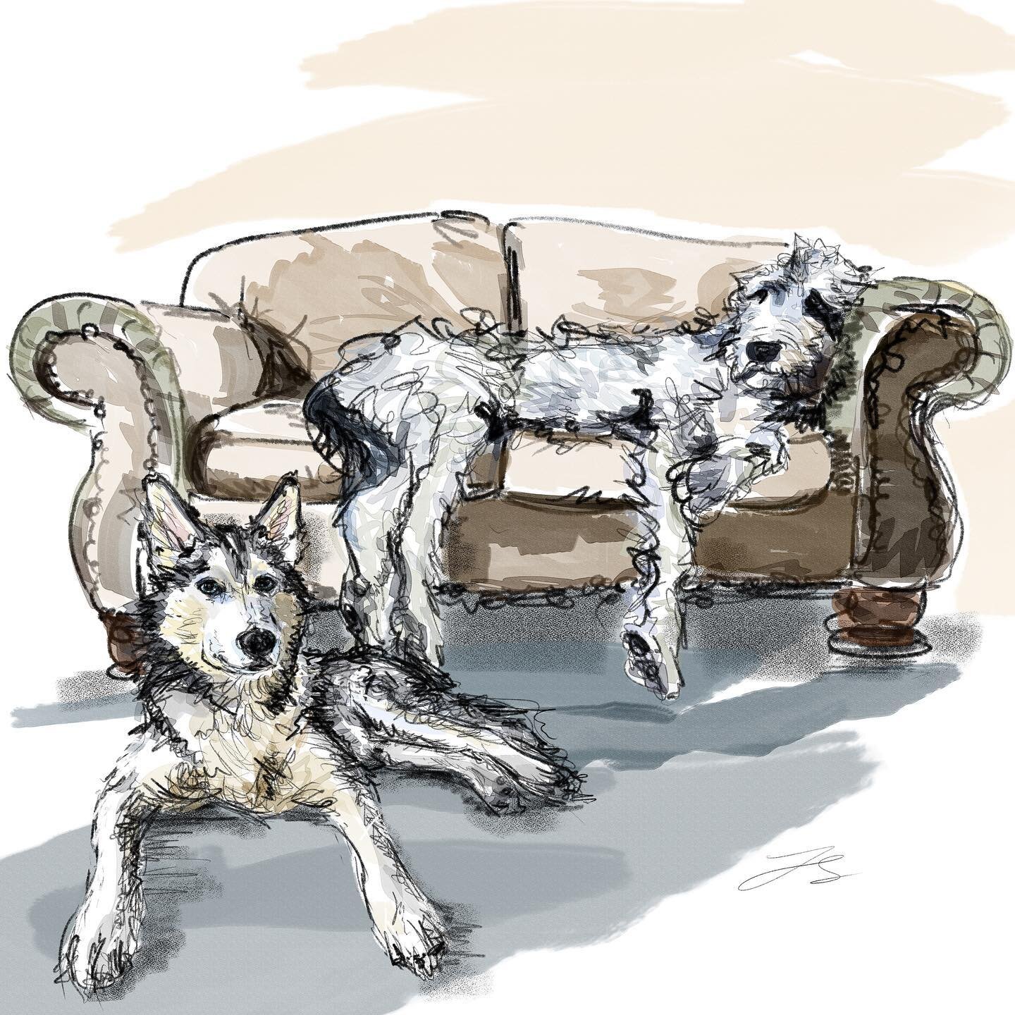 Day 28 of @dogsinaugust is the Irish wolfhound
And day 29 is the Siberian husky

Nearly done! The challenge is almost complete

#artyismymiddlename #doggust #doggust2023 #petfamily #dogdrawings #dogpictures #animalillustration #petportraitartist #dog