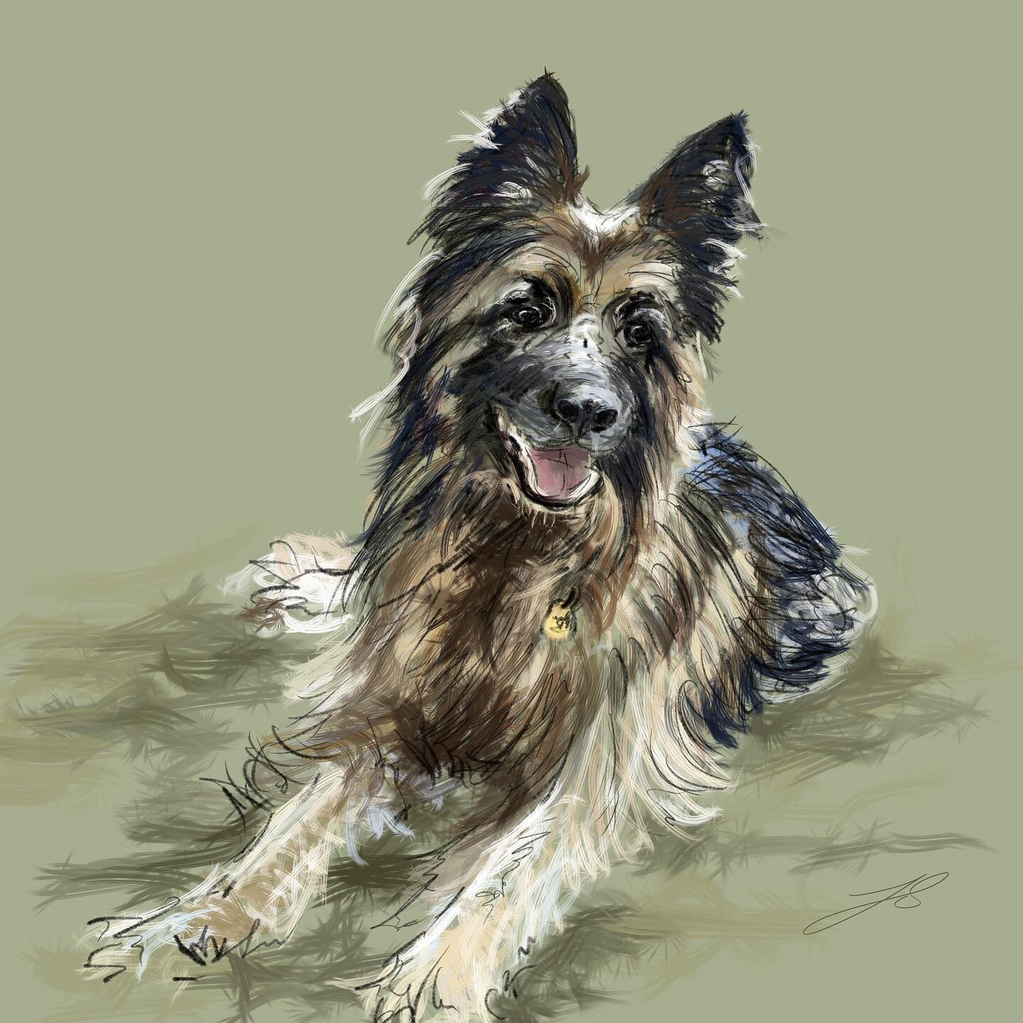 Day 27 of @dogsinaugust is the German Shepherd

I&rsquo;ve drawn a portrait of the lovely Mia before, but I loved the opportunity to return with a more relaxed sketch for some of the humans who loved her @rachelvictory @gaz_ryder 

#artyismymiddlenam