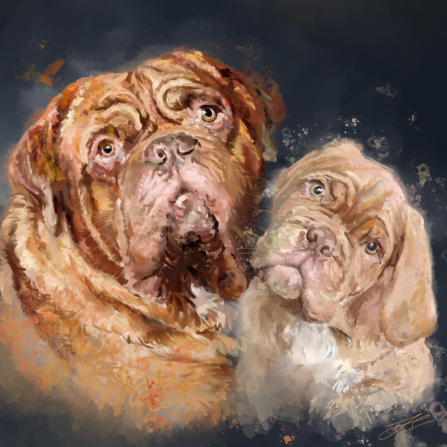 This is a portrait commission I worked on back in November

I&rsquo;d never heard of a Dogue de Bordeaux before so it was a treat to draw Frank and Stanley for @thewateringcanliverpool 

In the second image you can see how beautifully it printed on f