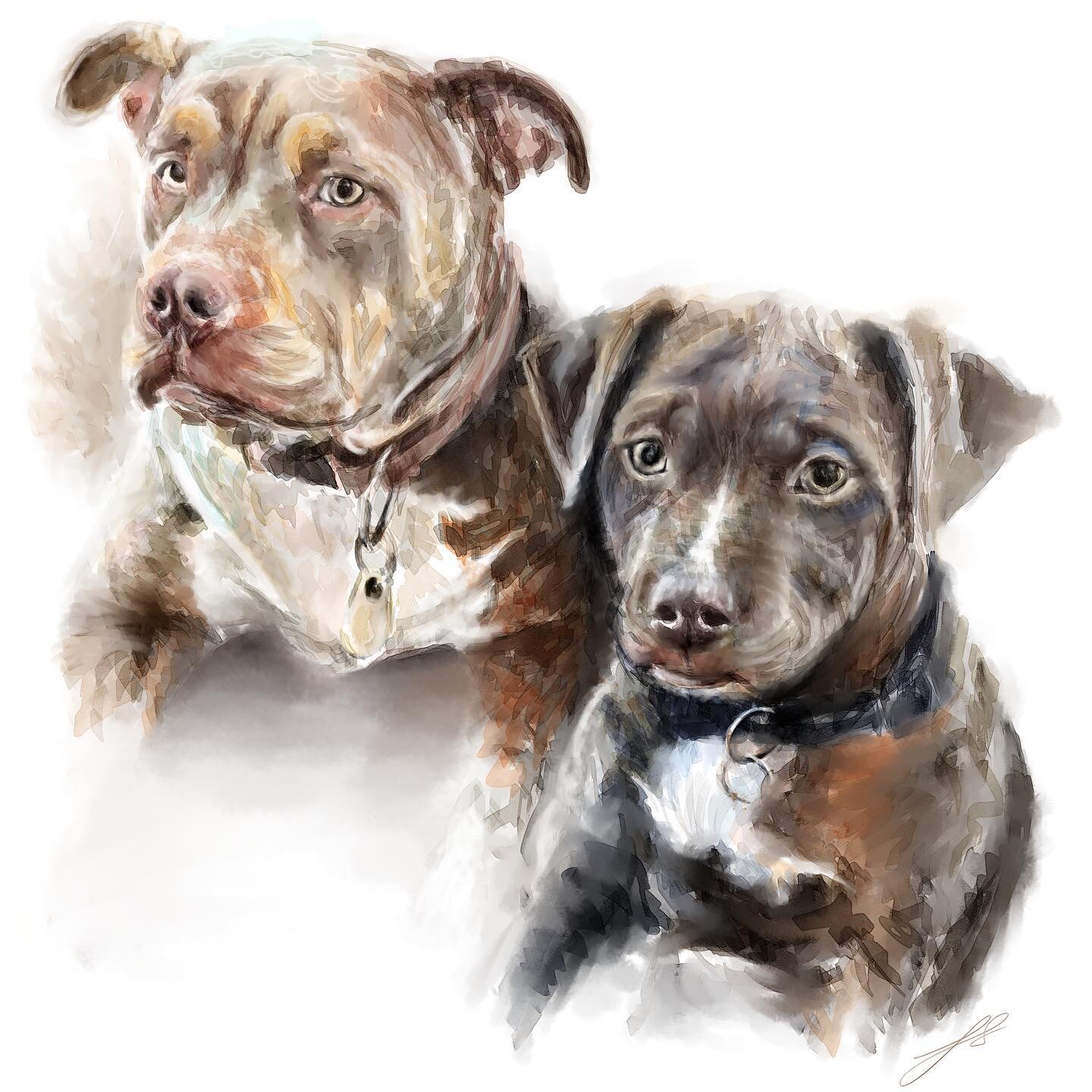 Lots going on here at Arty JRS! 

On the to do list there&rsquo;s been wedding stationery, wrapping paper designs, pet commissions and, when I can, some more of these gorgeous XL bully portraits. 

This design, along with many other dogs are all avai