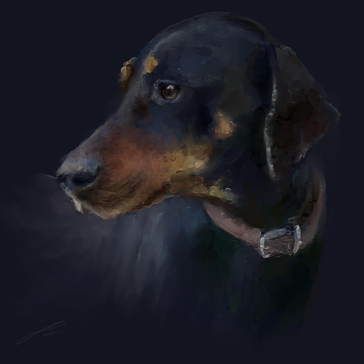 Day 13 of @dogsinaugust was the Hellenic hound, a scent hound originating in Ancient Greece. 

#artyismymiddlename #doggust #doggust2024 #dogsinaugust #drawingchallenge #petartwork #dogpicoftheday #dogartist #petportraitartist #digitalillustrator #pe