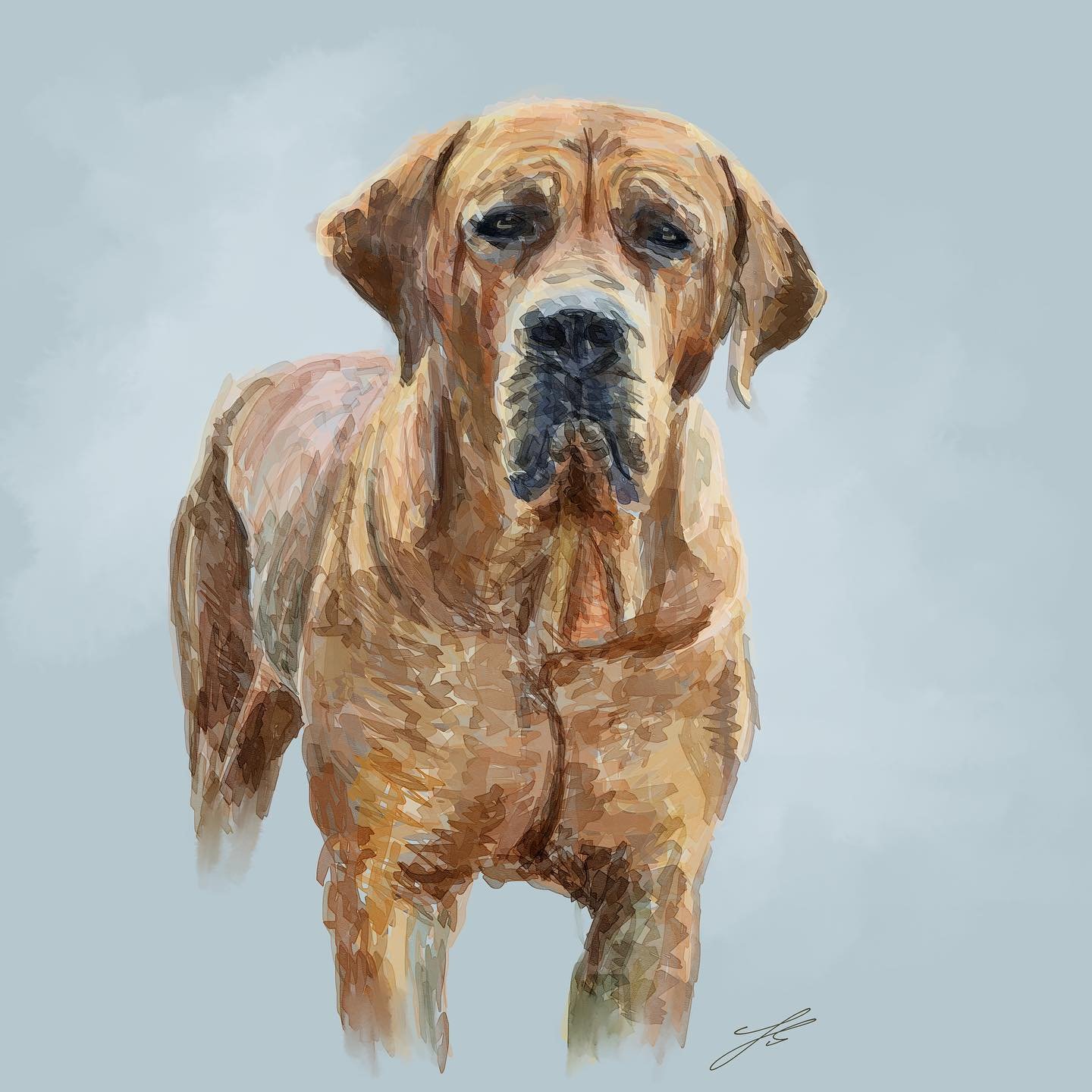 Day 11 of @dogsinaugust is the Tosa Ken

A slight interlude whilst I moved house! Everything is in chaos currently, but I&rsquo;m endeavouring to complete doggust, even if it turns into dog-tember, dog-tober and possibly even dog-vember at this rate!