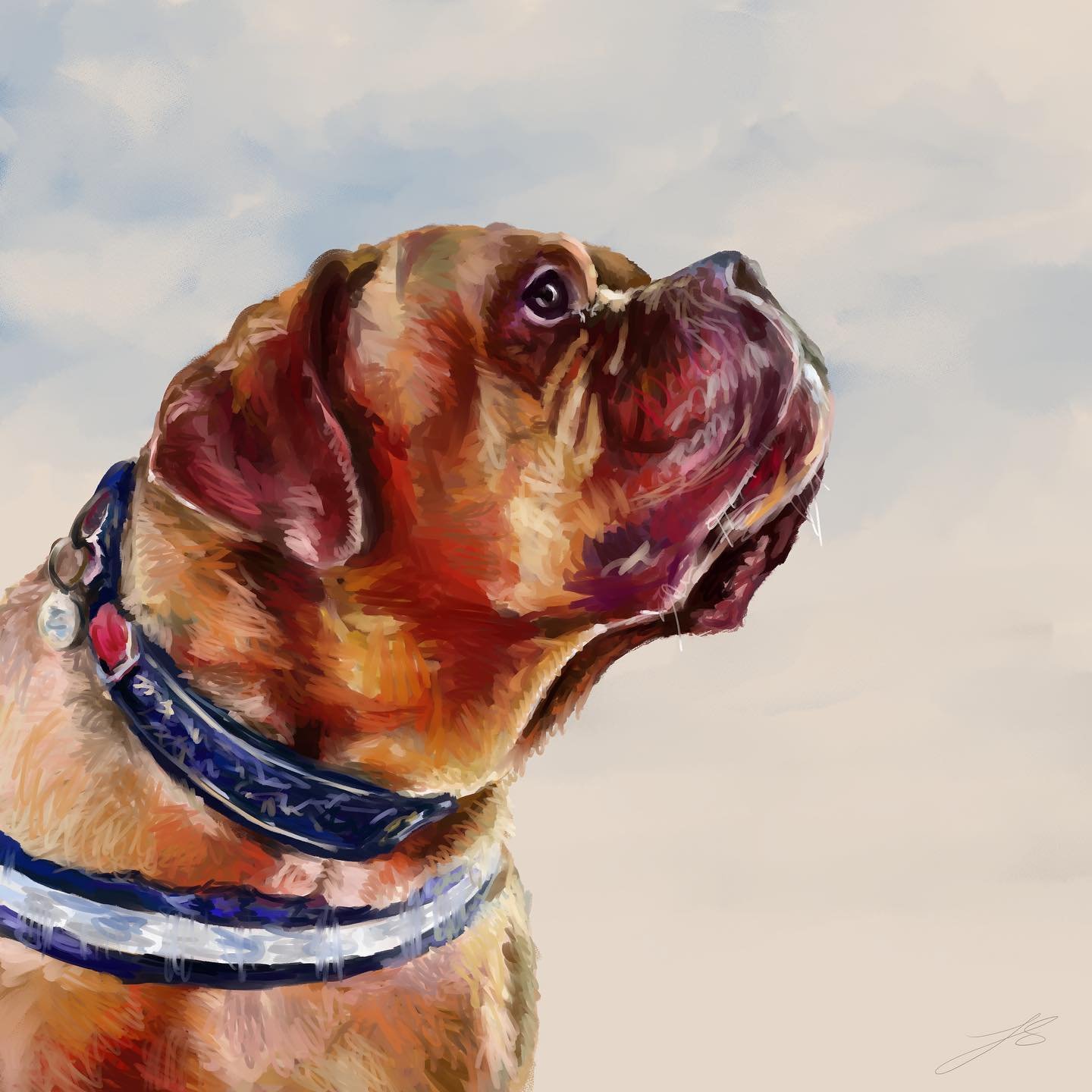 Day 9 of @dogsinaugust is the Dogue de Bordeaux, a large French mastiff.

This is the lovely Babs, unfortunately no longer with us, who&rsquo;s family @its_a_dogues_life has these words to say about her:

&ldquo;She brought endless joy and love into 