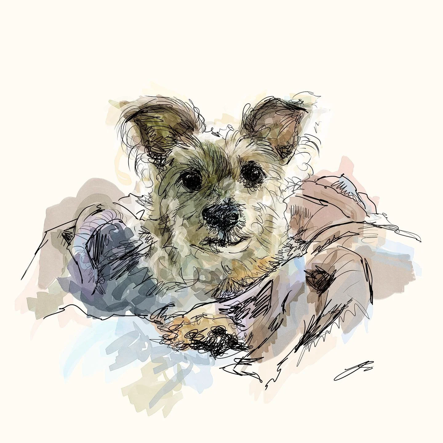 Hello!
It&rsquo;s been a little while since I posted, so let&rsquo;s get reacquainted whilst I take part once again in @dogsinaugust and hopefully post a bit more regularly 

I&rsquo;m Jennifer, an artist specialising in pet portraiture, and I love u