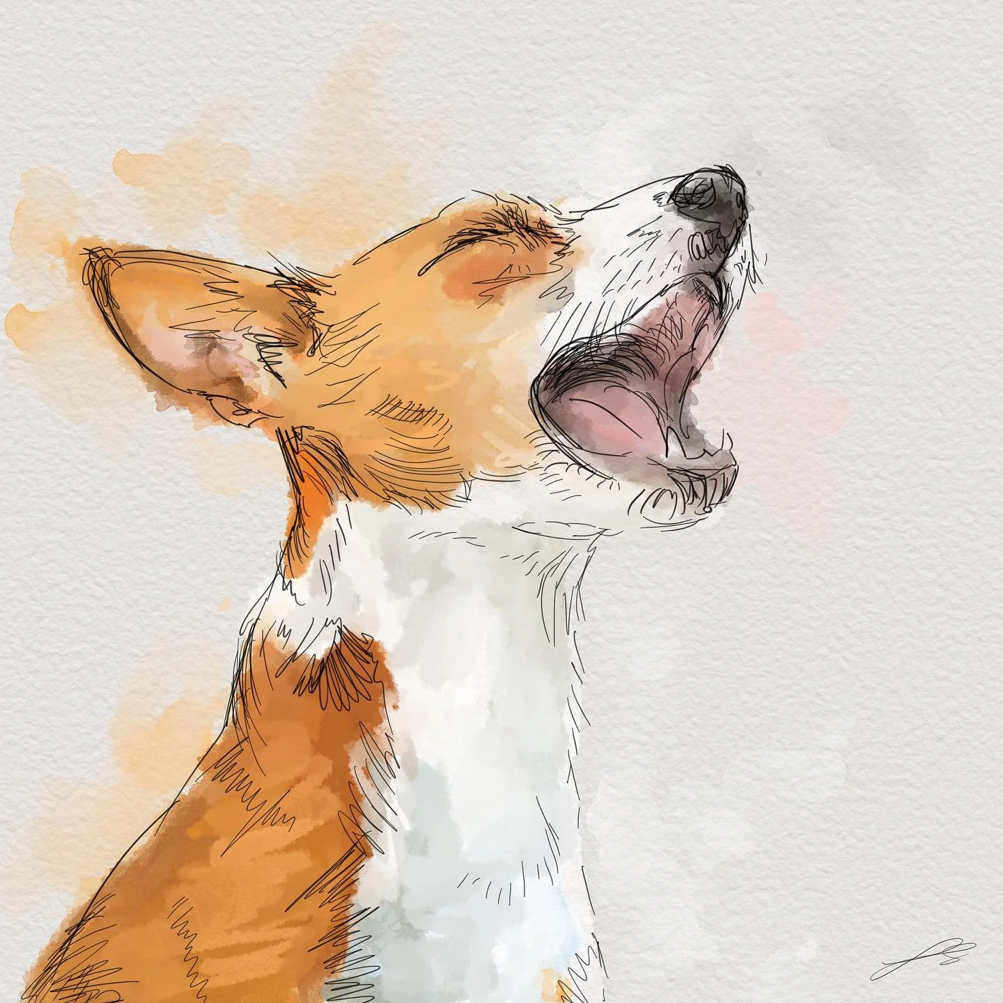 This one was really interesting to learn about!

Day 2 of @dogsinaugust is the basenji, one of the oldest breeds, and a hunting dog from central Africa. It is often given the nickname of the &lsquo;barkless dog&rsquo;. The basenji&rsquo;s larynx is s