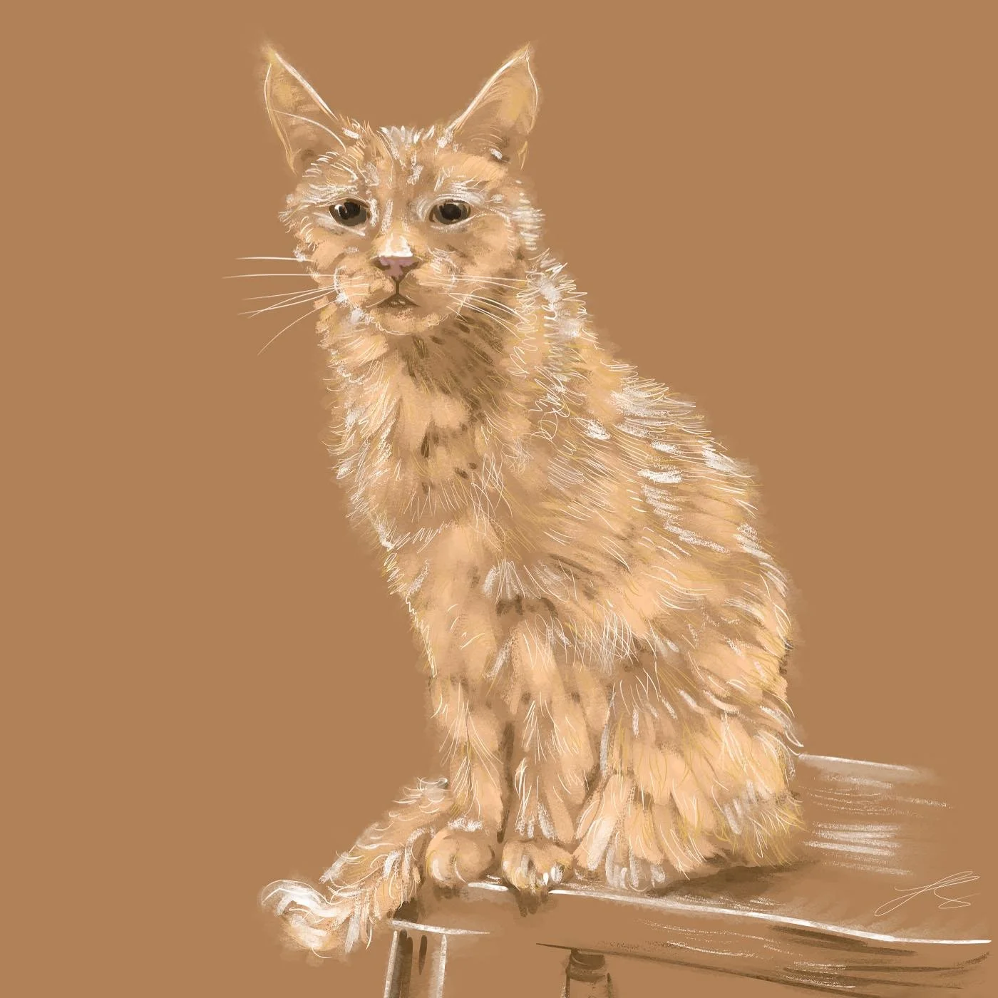 It&rsquo;s been such a long time since the Chief of O-Paw-Rations had a new sketch and a post

Poor Harry has had some dental surgery recently, but after a small amount of time he&rsquo;s back to demanding some crunchy food, so he&rsquo;s definitely 