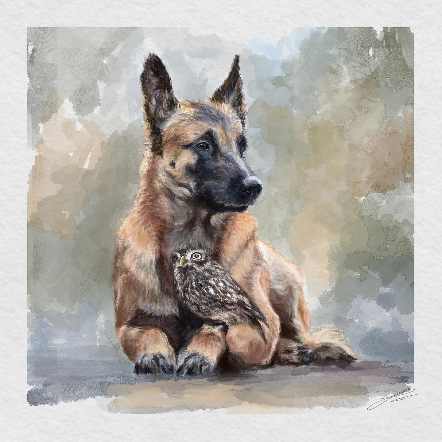 Day 4 of @dogsinaugust is the Belgian malinois. An athletic and highly intelligent herding breed that&rsquo;s particularly well suited for work with the police and military.

This one took me longer to create as I wanted to do it justice. I&rsquo;ve 