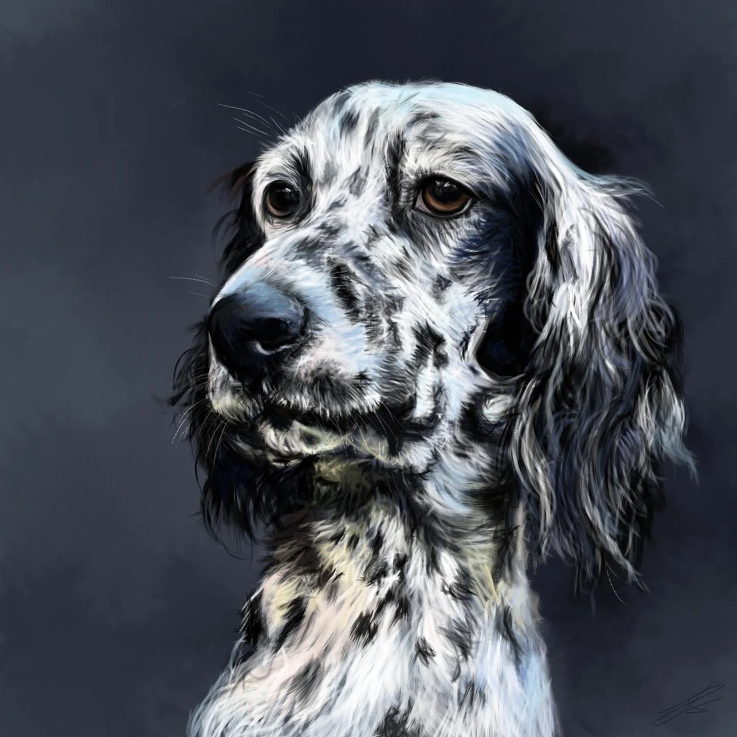 Day 12 of @dogsinaugust is the English setter. I have such a huge soft spot for setters as they&rsquo;re essentially just great big soppy spaniels. All the ones I&rsquo;ve met give the best cuddles.
A big thank you to @maya.the.english.setter who kin