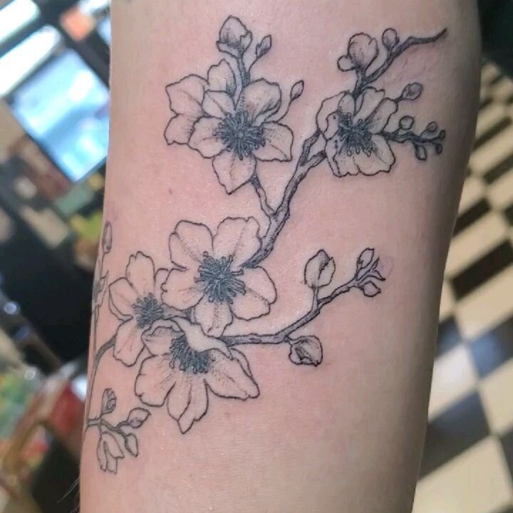 #cherryblossoms #flower #lineart

@shamrocktattoocompany
#tattoo #sabre #tattooartist
#westhartford #hartford #cttattoos #cttattooartist #ctart. @sabretooth_tattoo